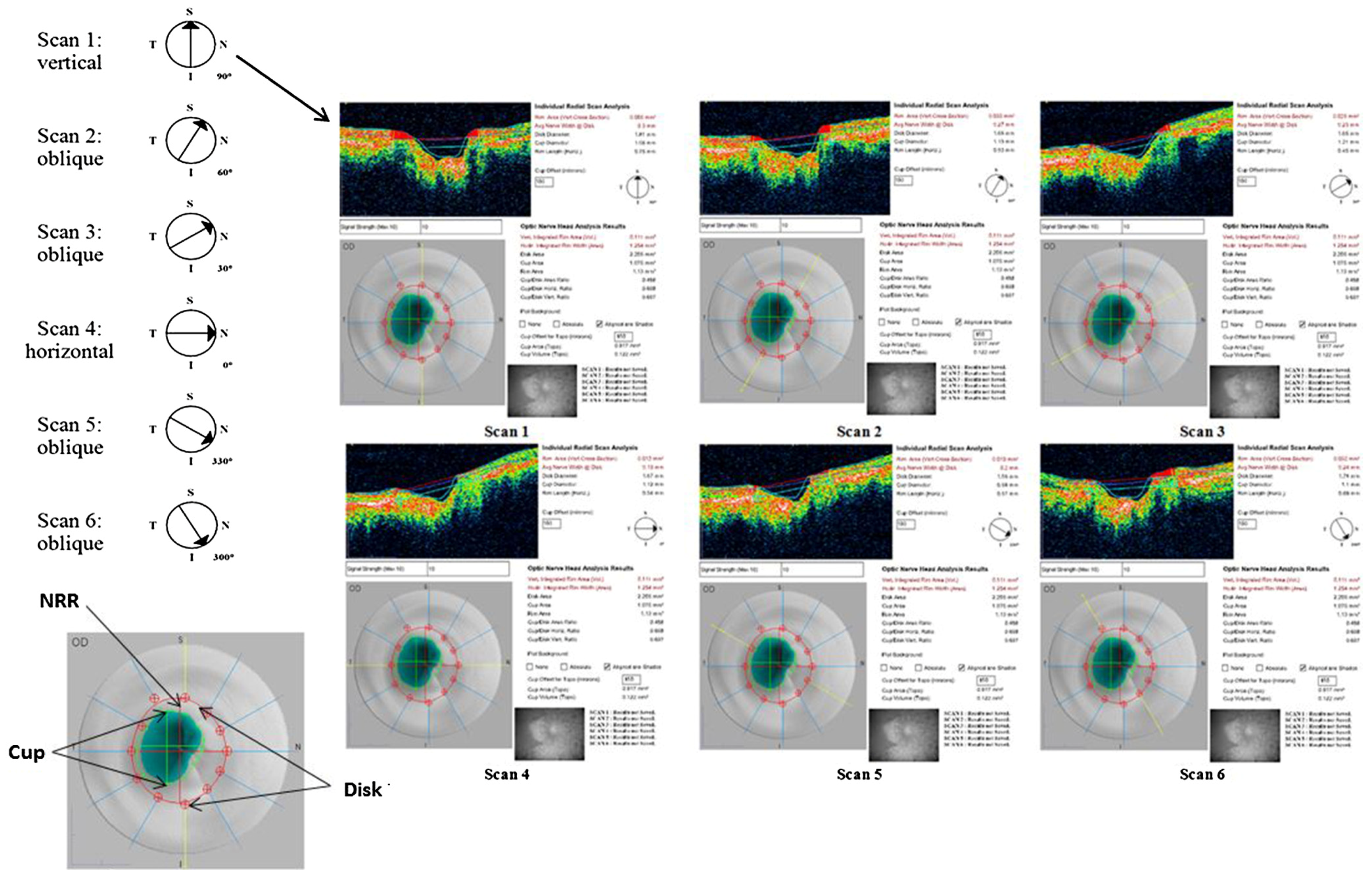 Medicina 53 00242 g002