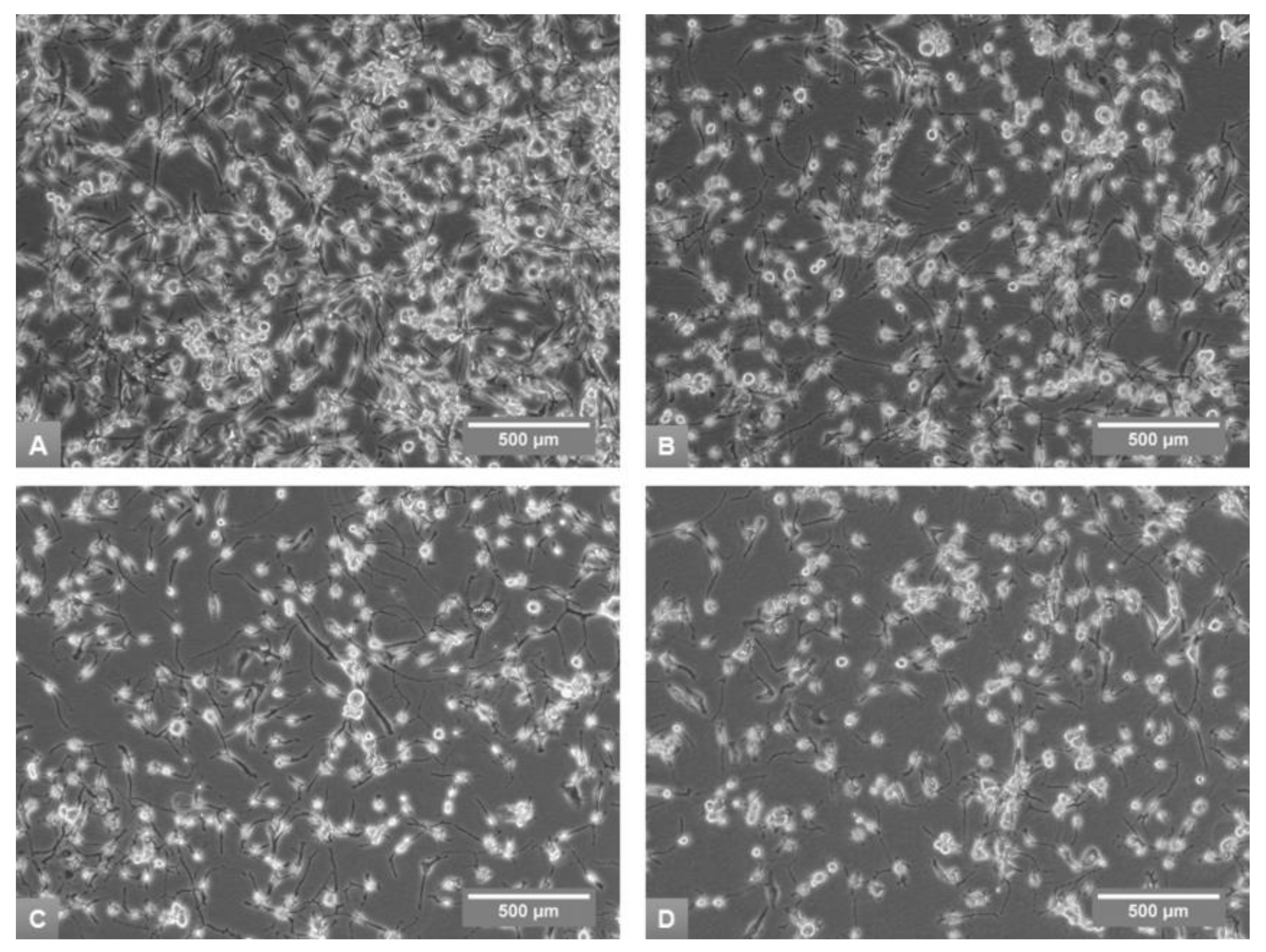 Medicina 54 00011 g003 Medicina 54 00011 g003