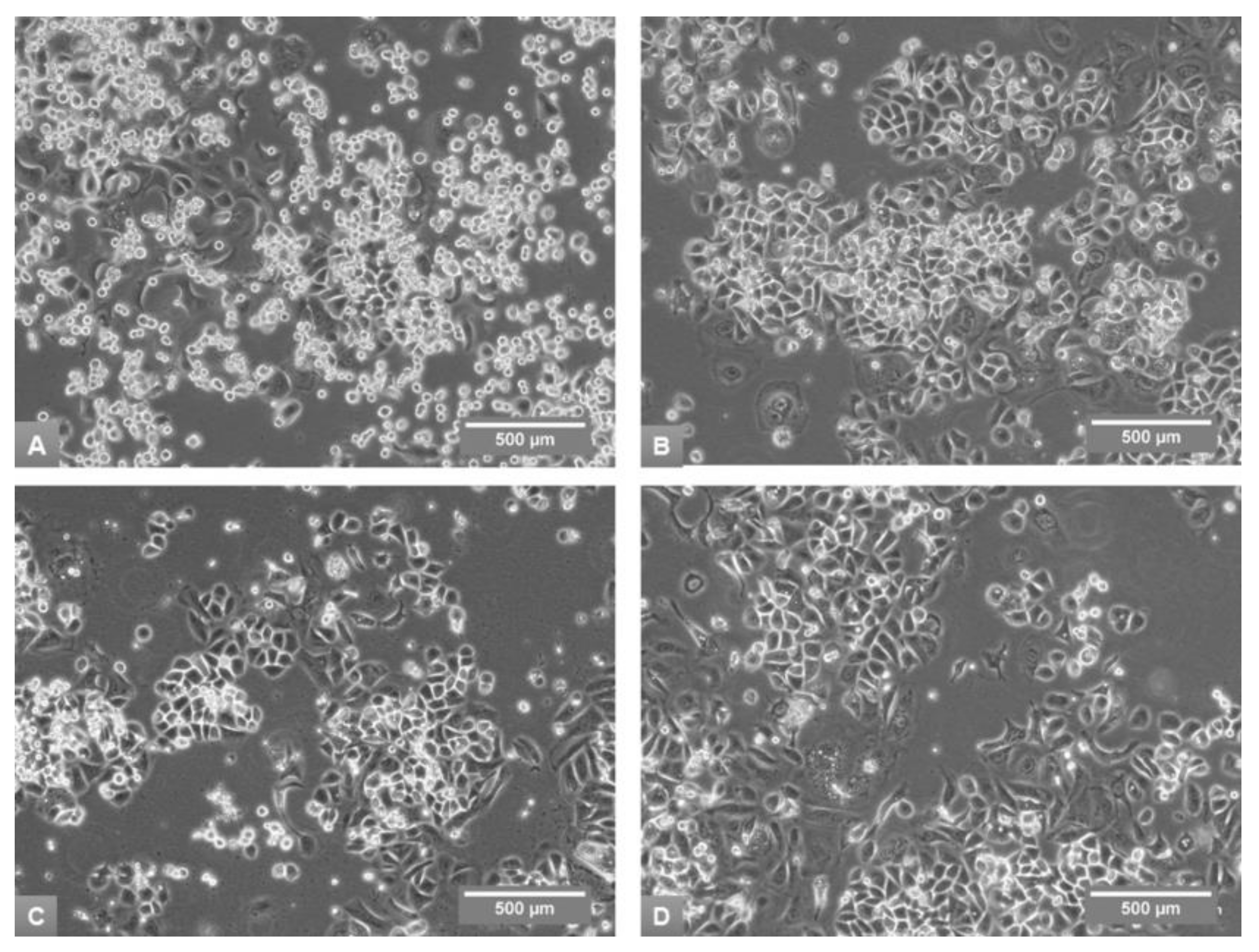 Medicina 54 00011 g004 Medicina 54 00011 g004