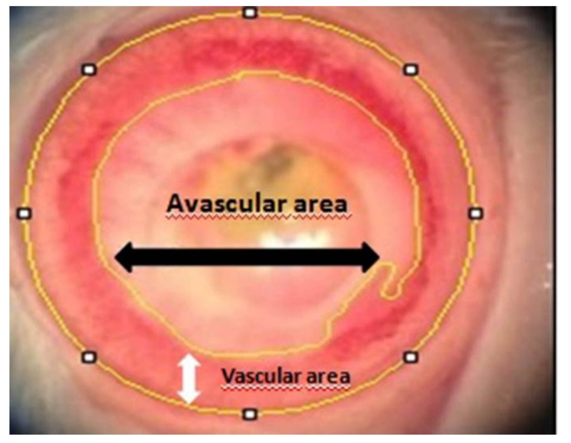 Medicina 54 00016 g001