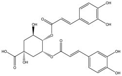 Medicina 54 00035 i038