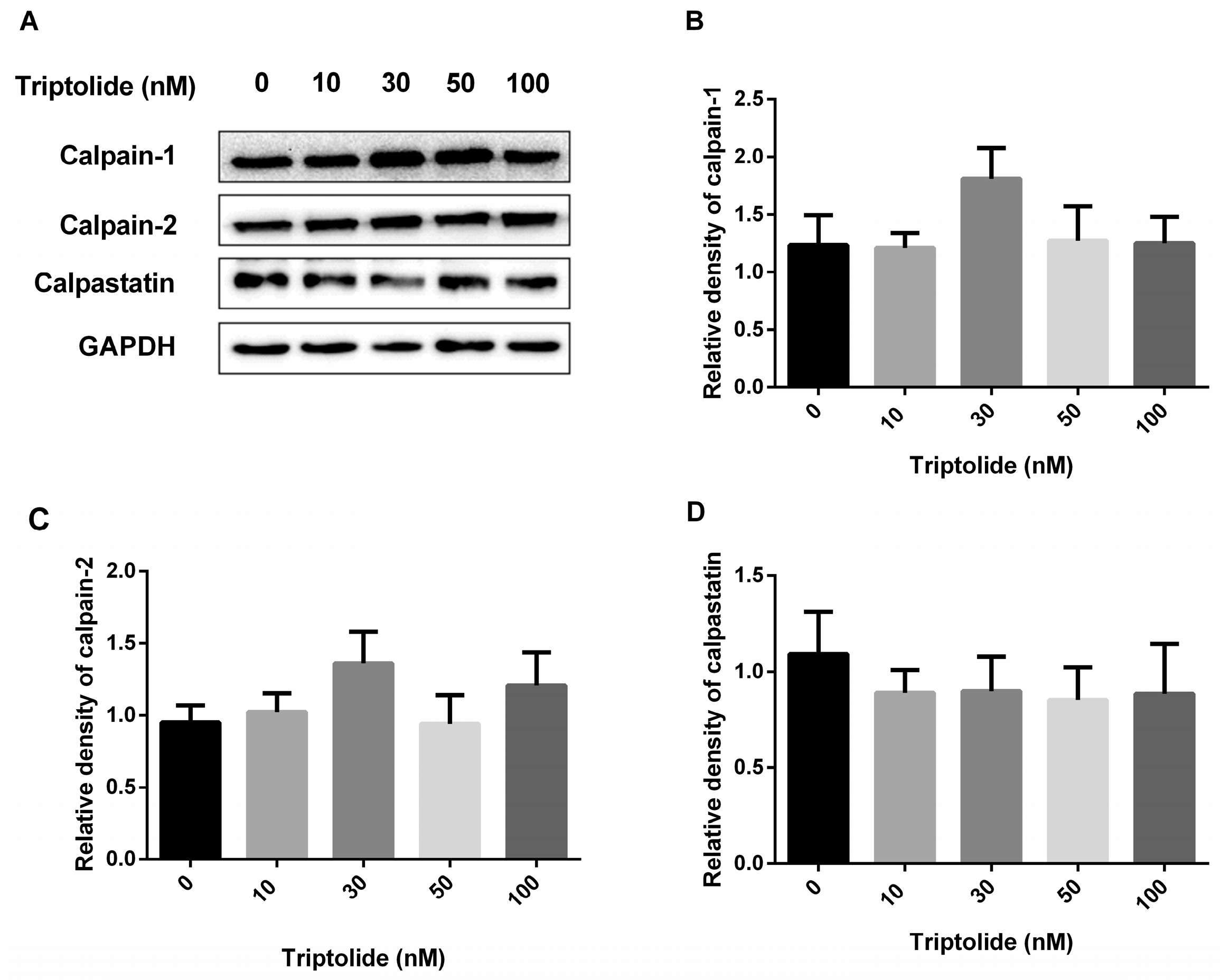 Medicina 54 00039 g003