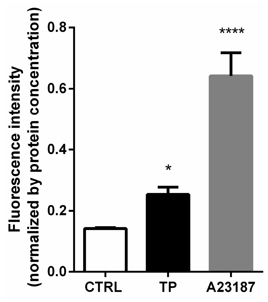 Medicina 54 00039 g004