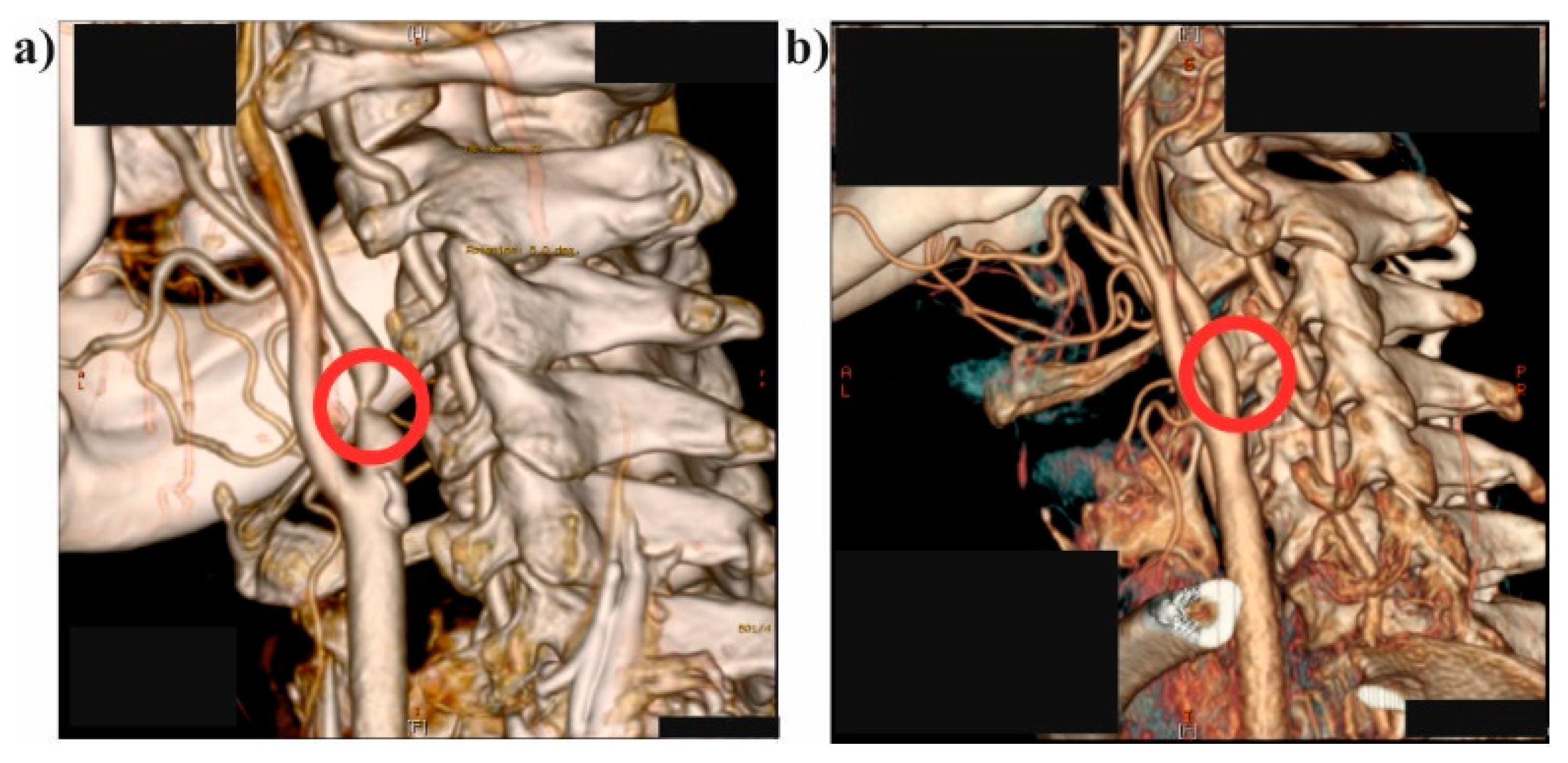 Medicina 54 00042 g001 Medicina 54 00042 g001