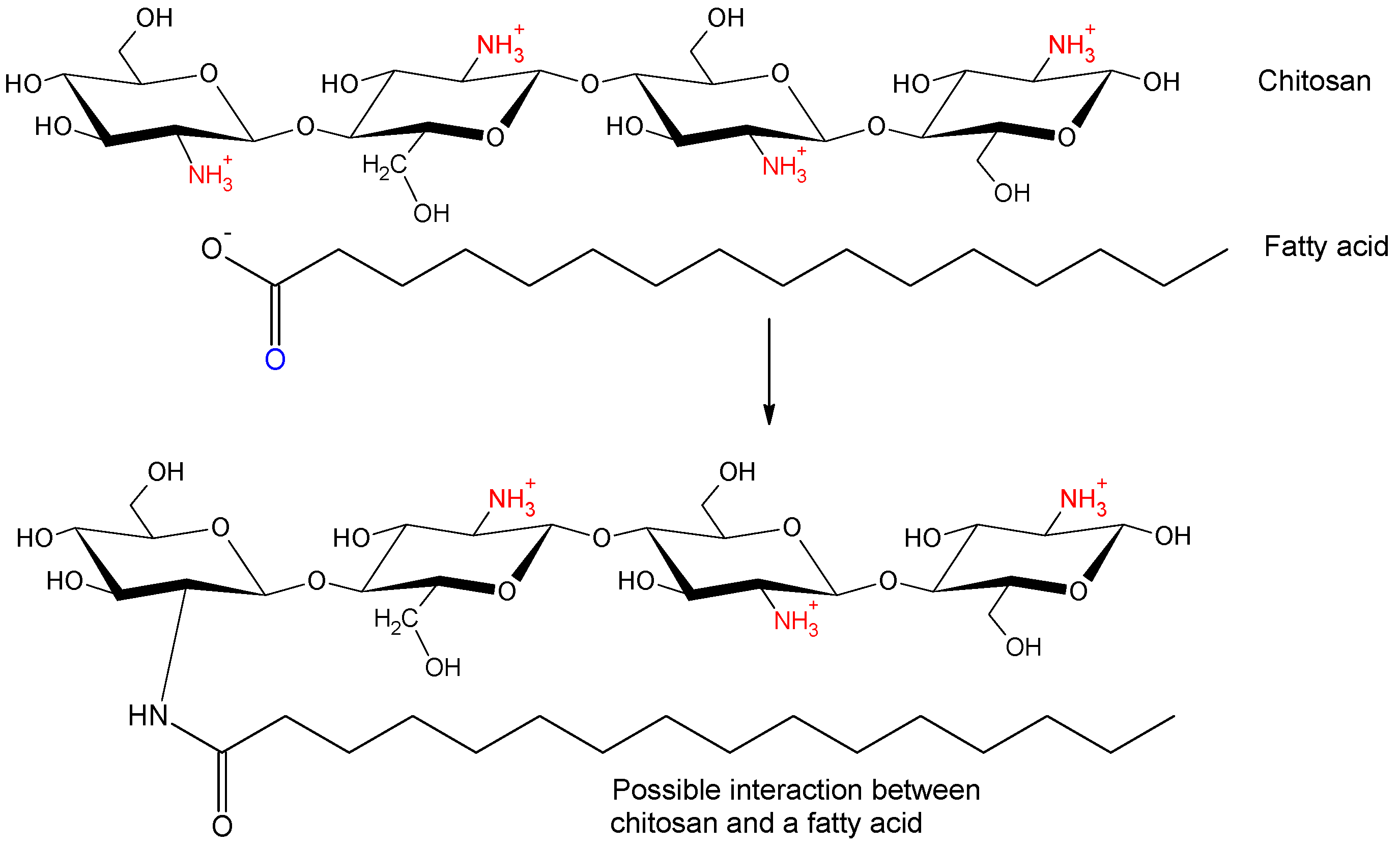 Medicina 54 00109 g001 Medicina 54 00109 g001
