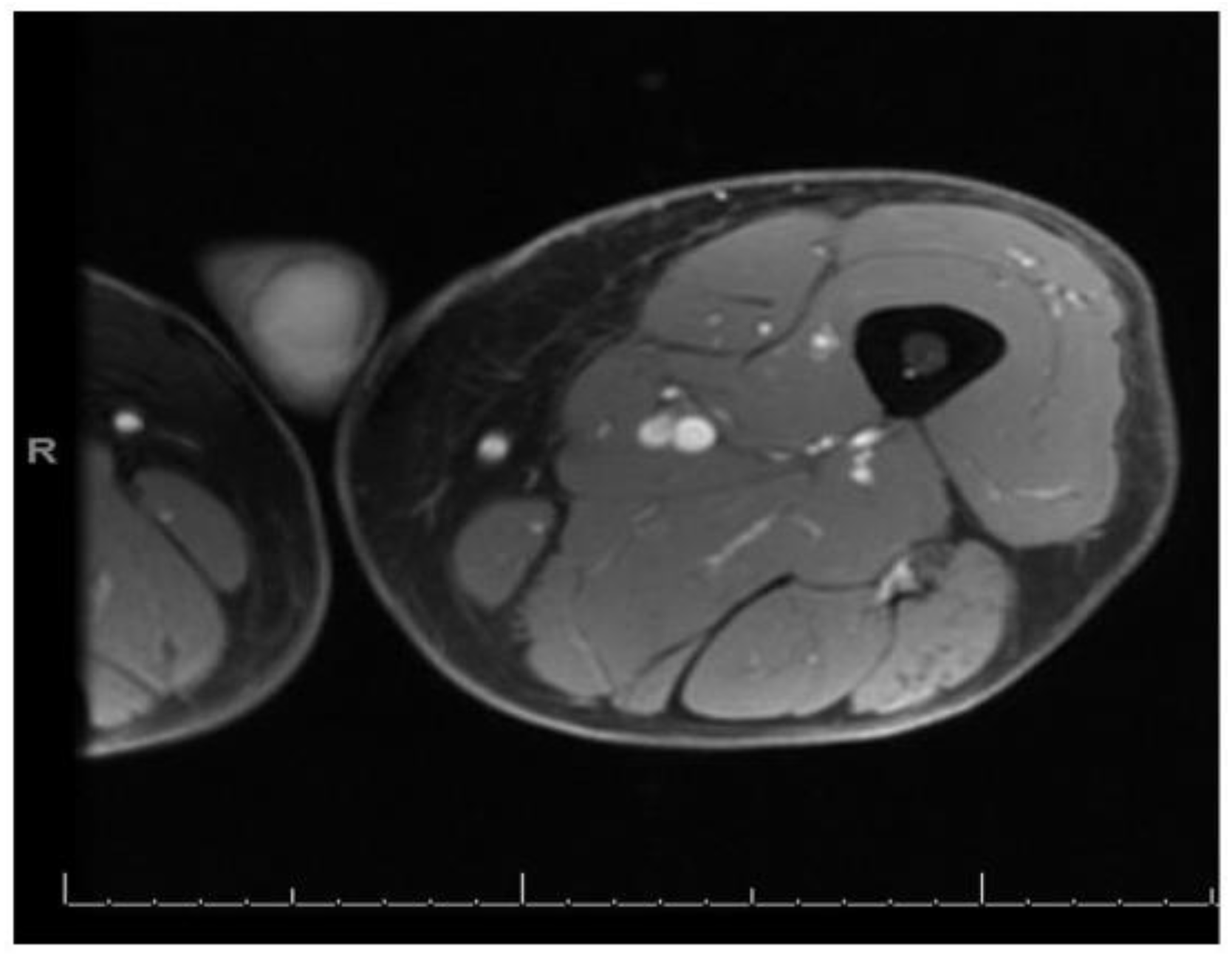 Medicina 55 00019 g002