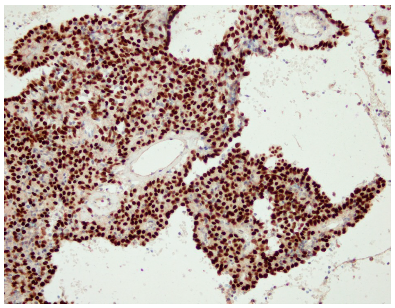 Medicina 55 00027 g002