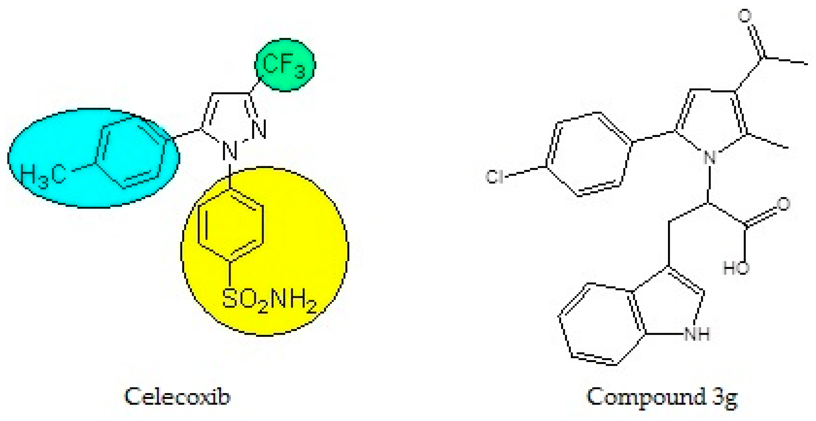 Medicina 55 00093 g001 550