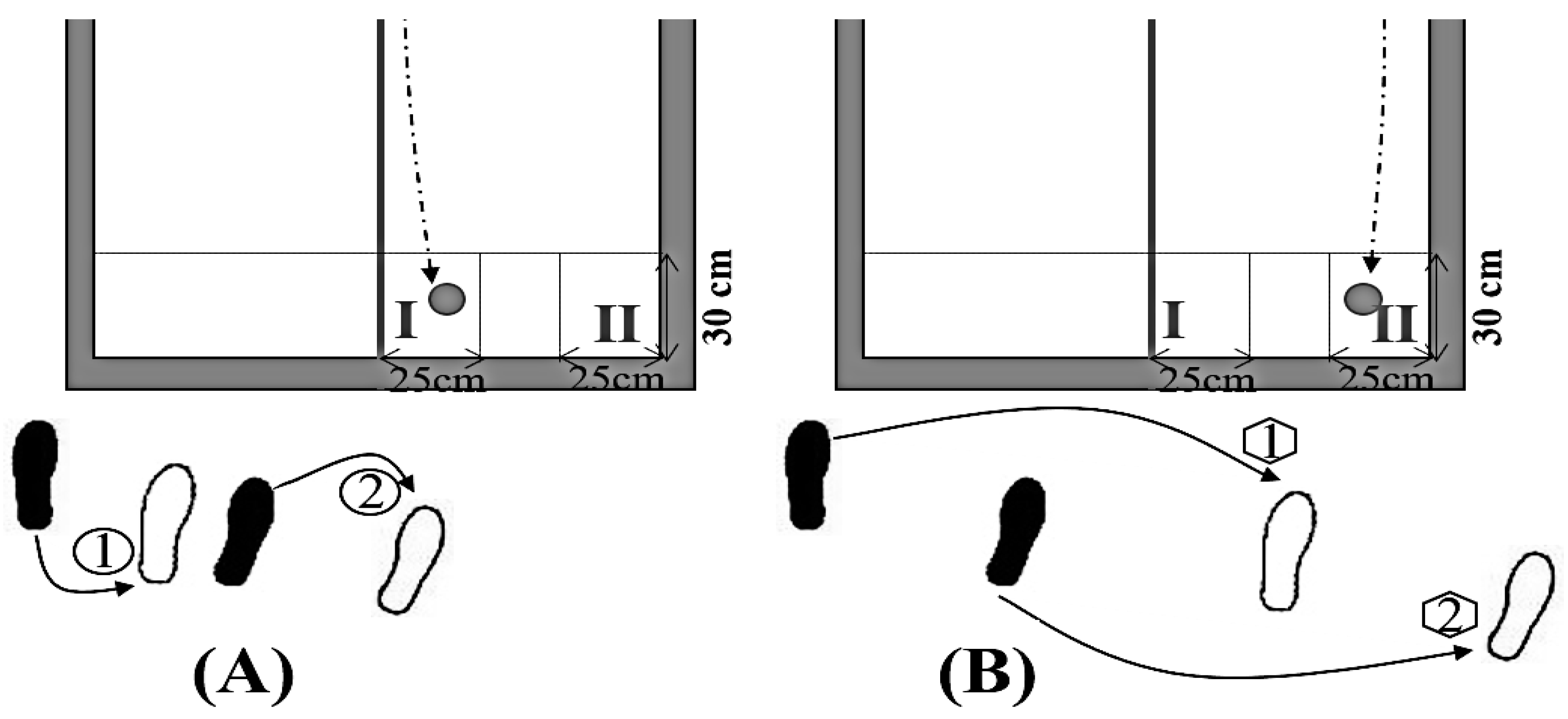 Medicina 55 00097 g001 Medicina 55 00097 g001