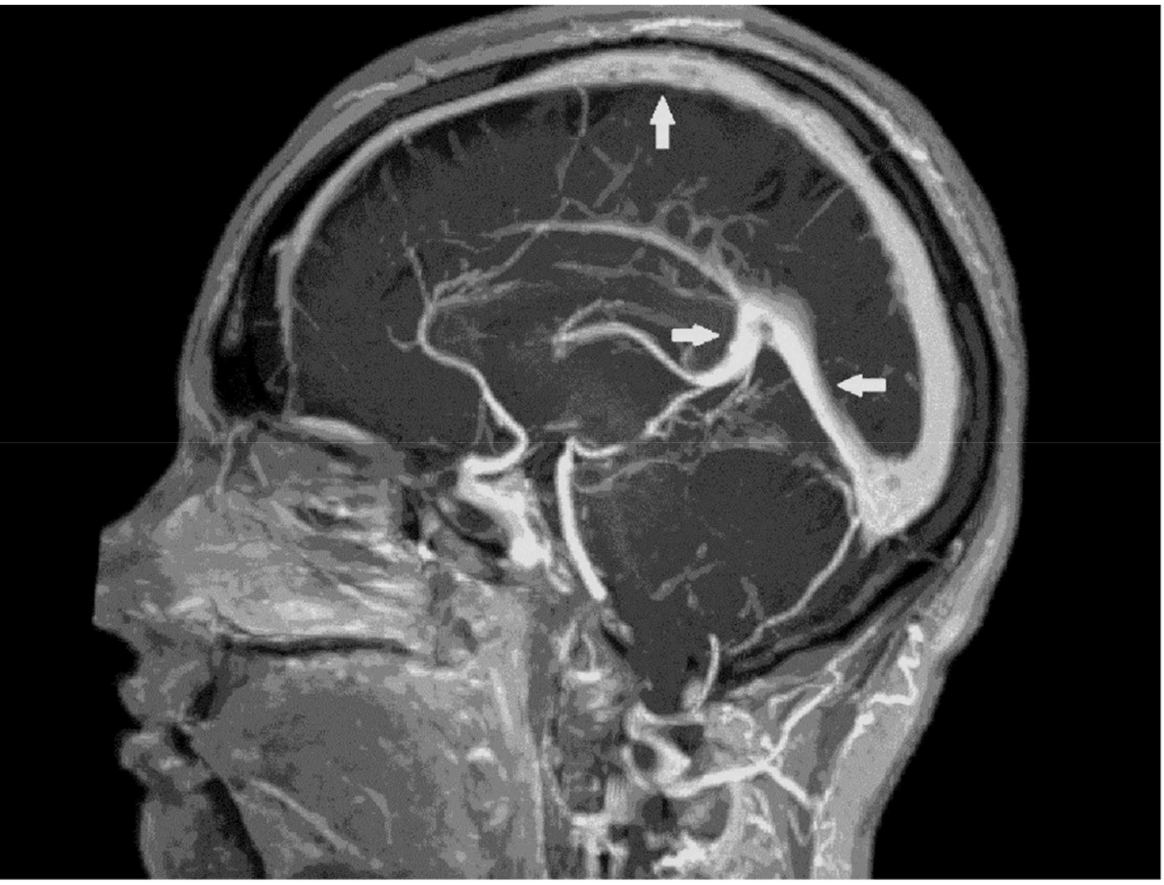 Medicina 55 00115 g004