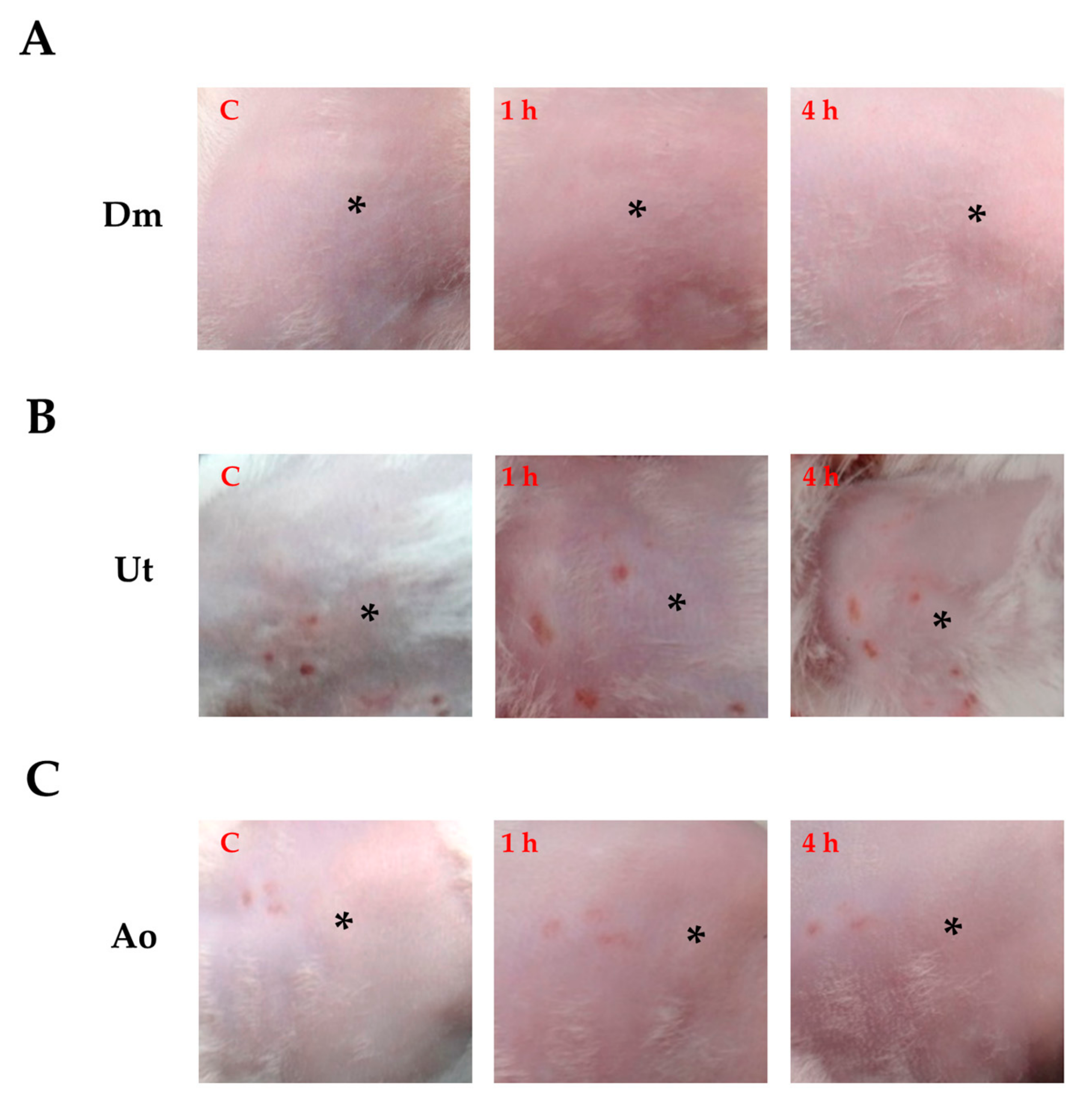 Medicina 55 00121 g001