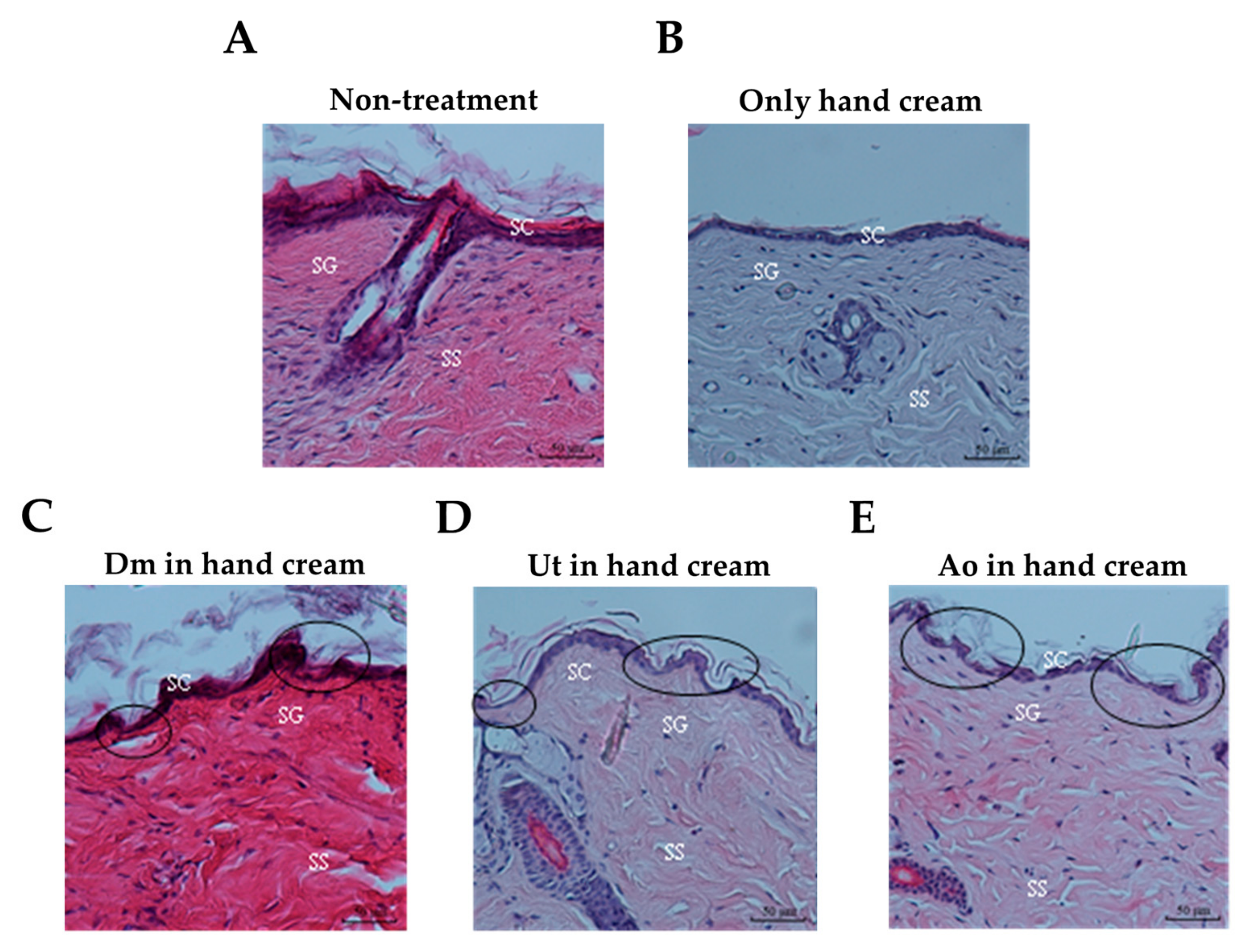 Medicina 55 00121 g002