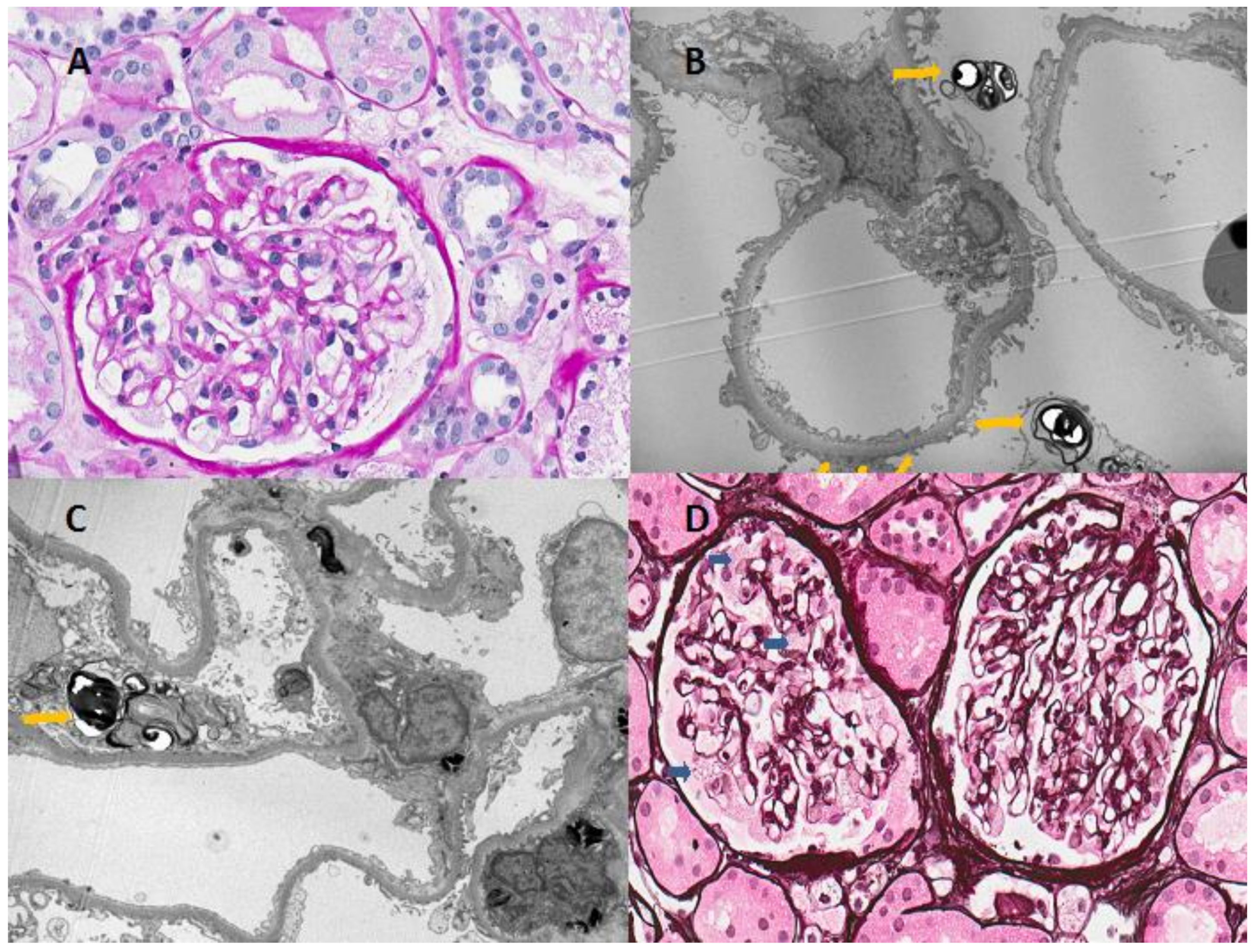 Medicina 55 00122 g002 Medicina 55 00122 g002