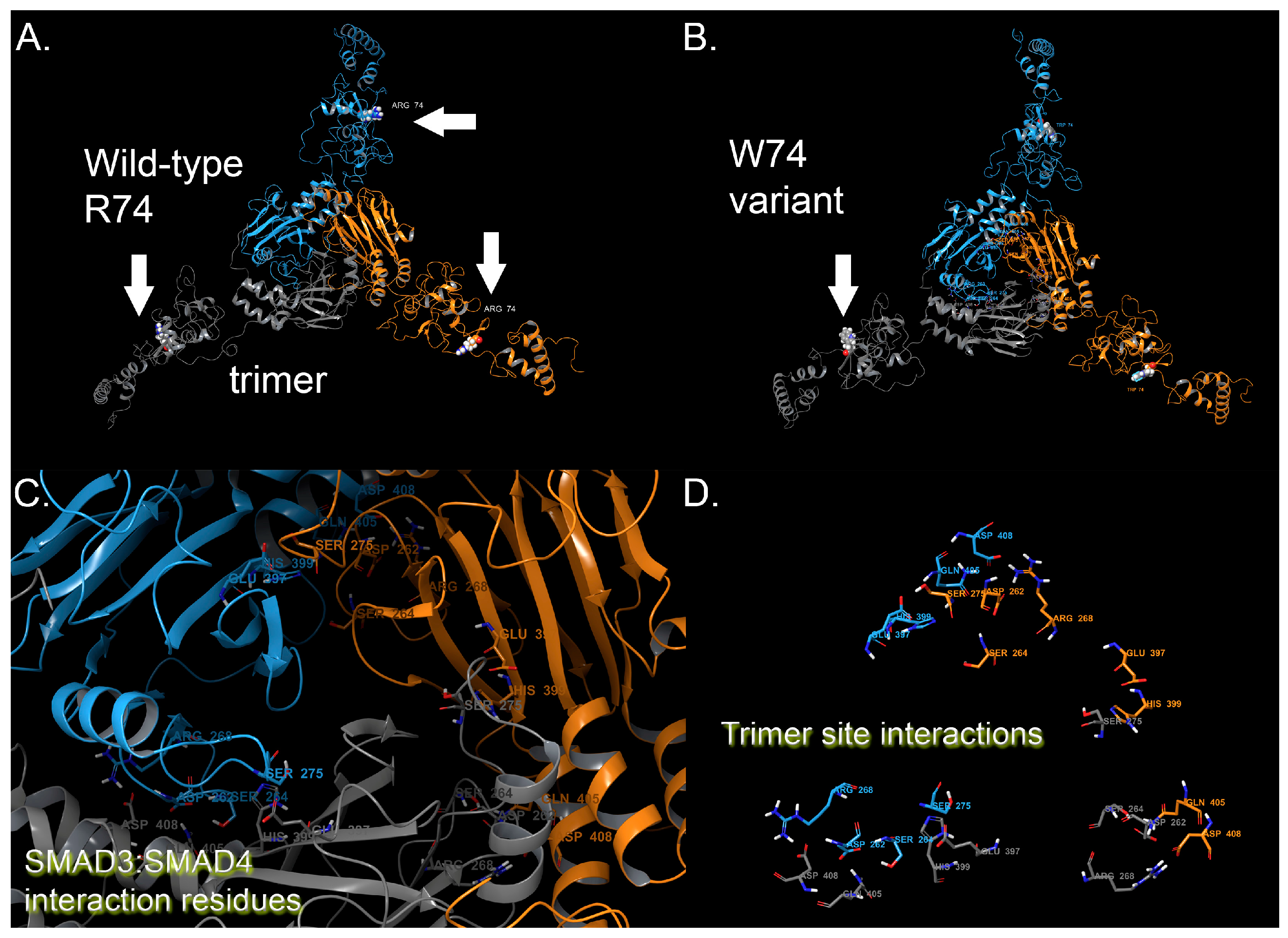 Medicina 55 00137 g001