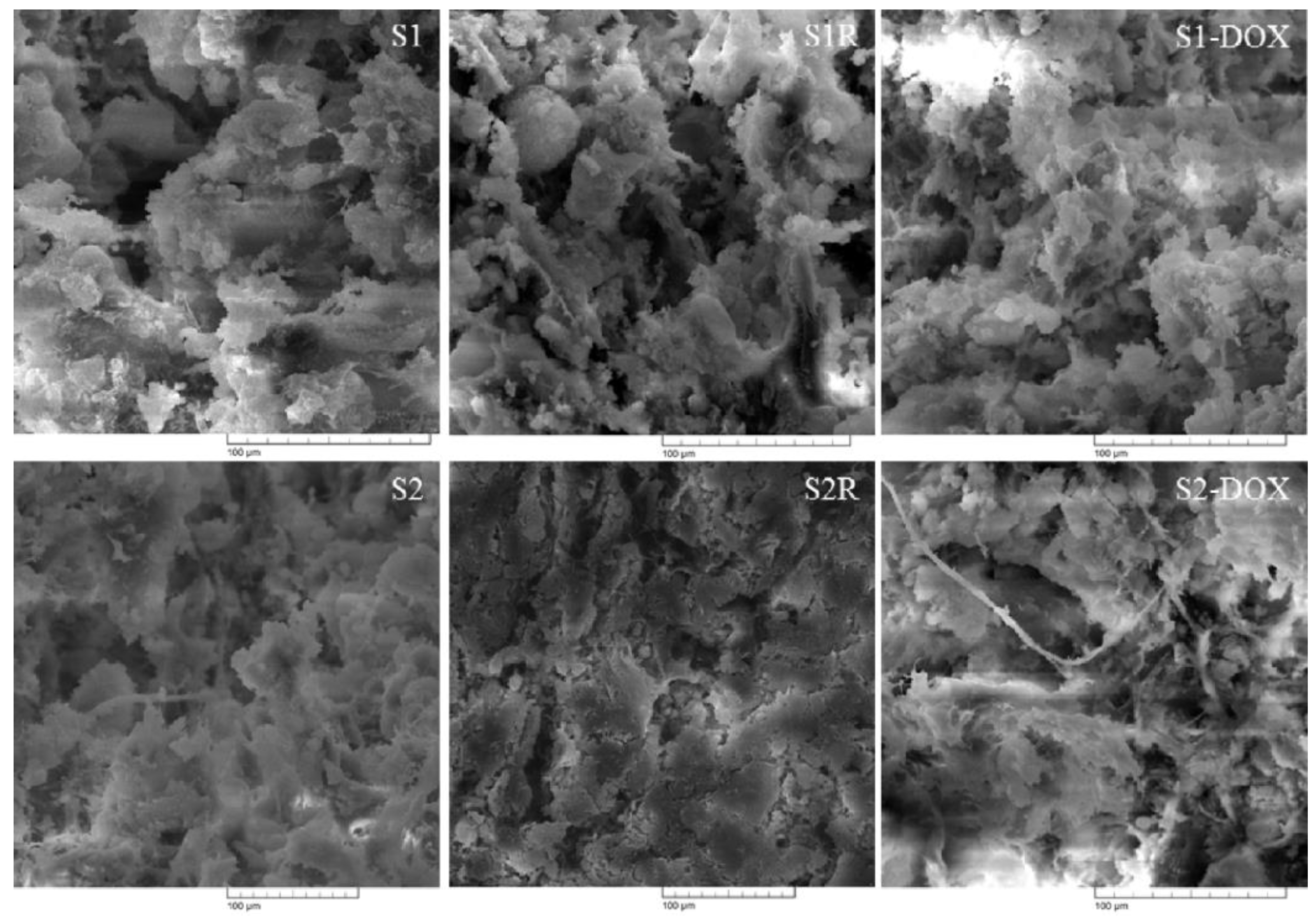 Medicina 55 00153 g005 Medicina 55 00153 g005
