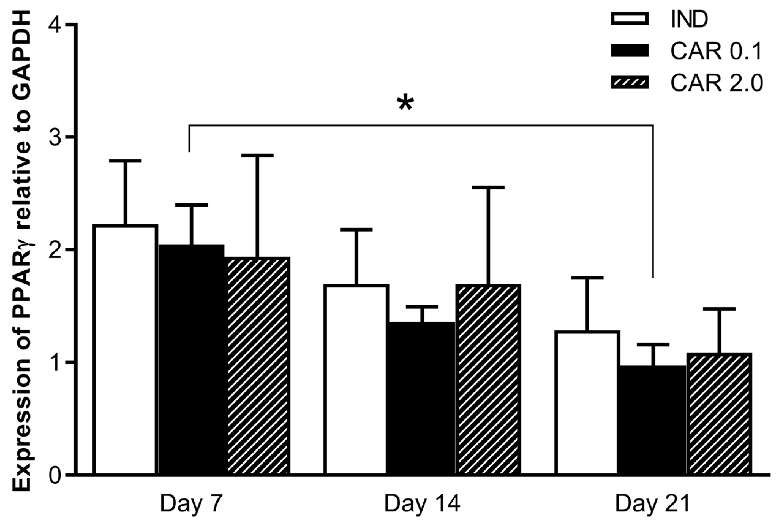 Medicina 55 00160 g003 Medicina 55 00160 g003