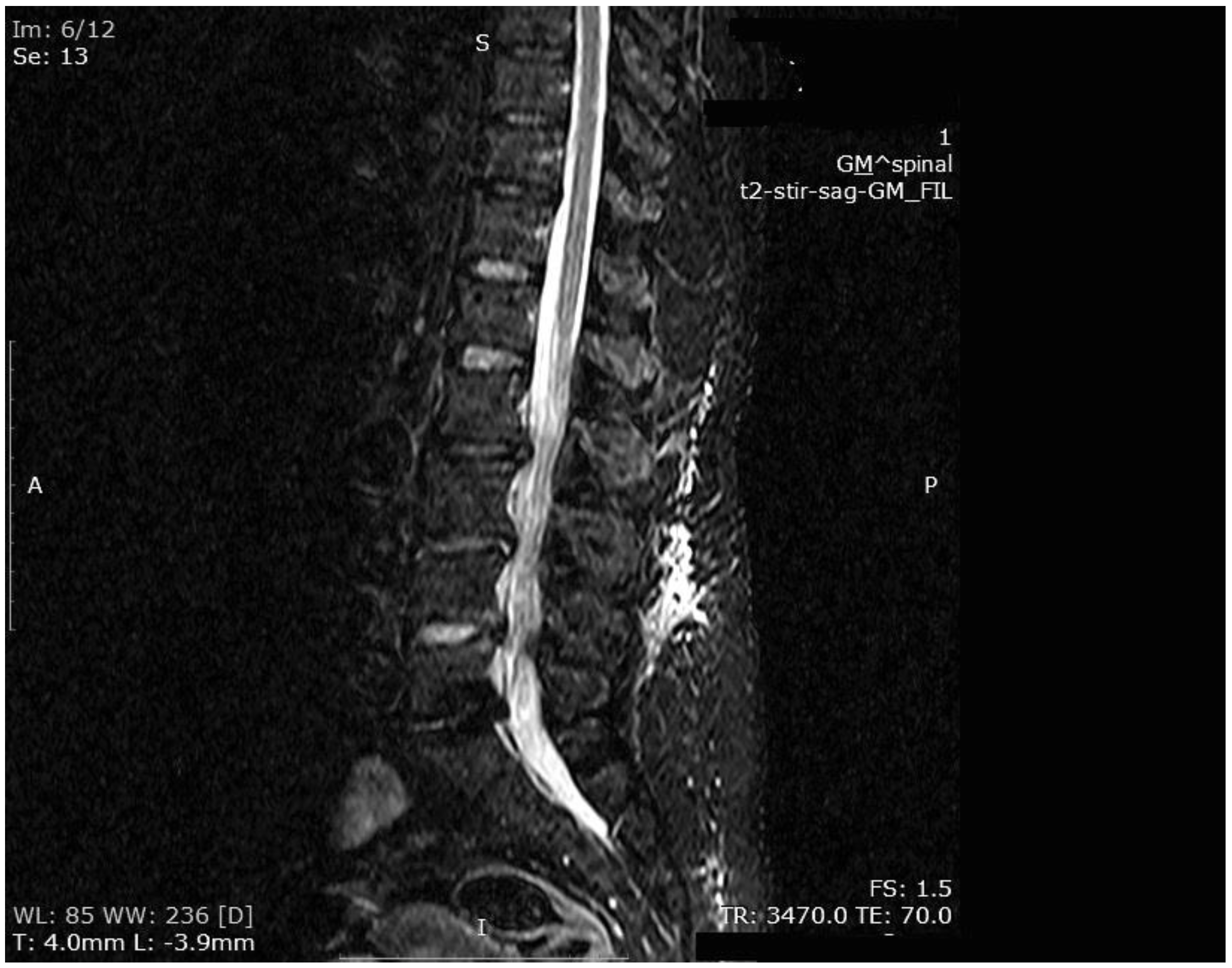 Medicina 55 00164 g005 550