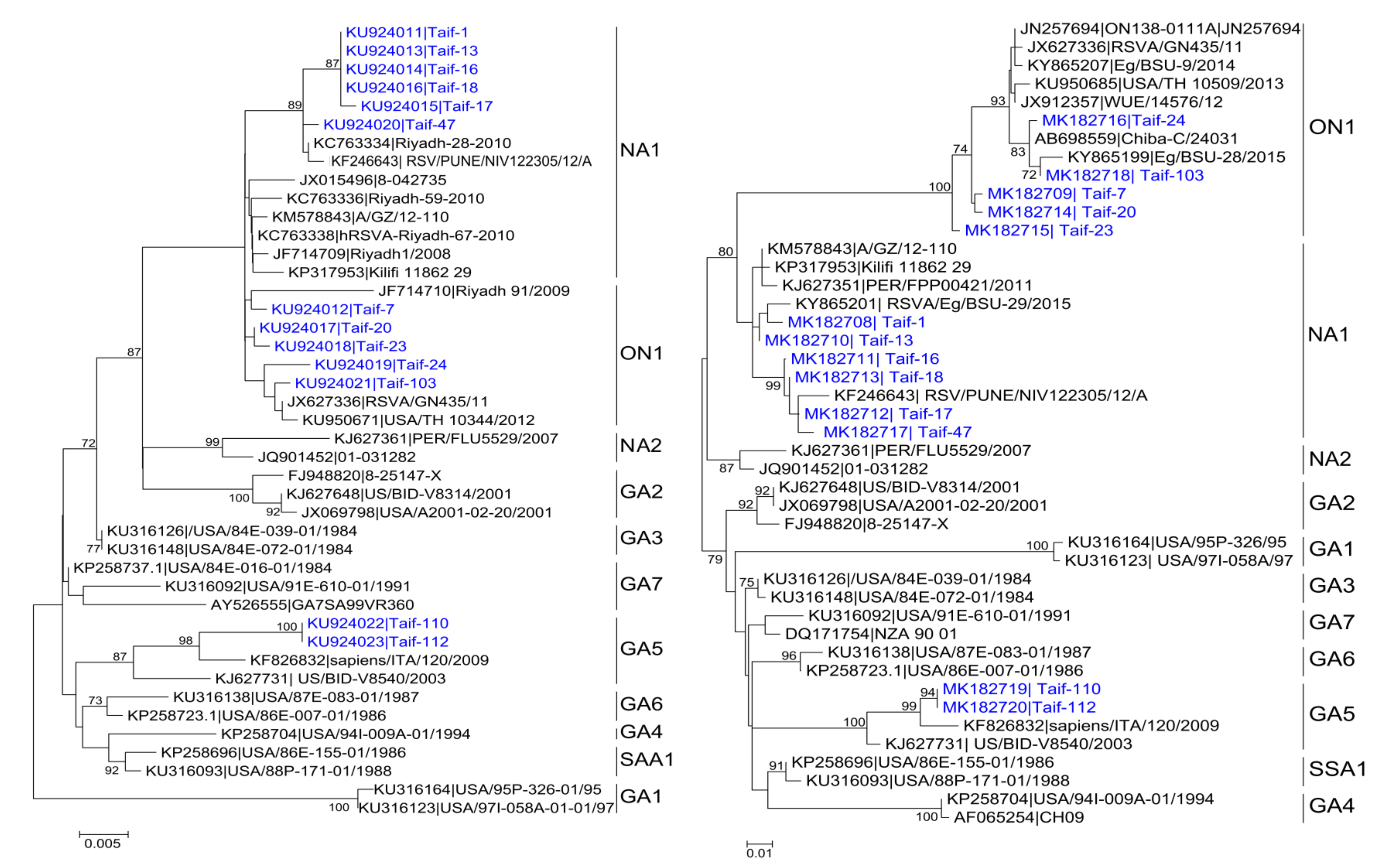 Medicina 55 00169 g001 550