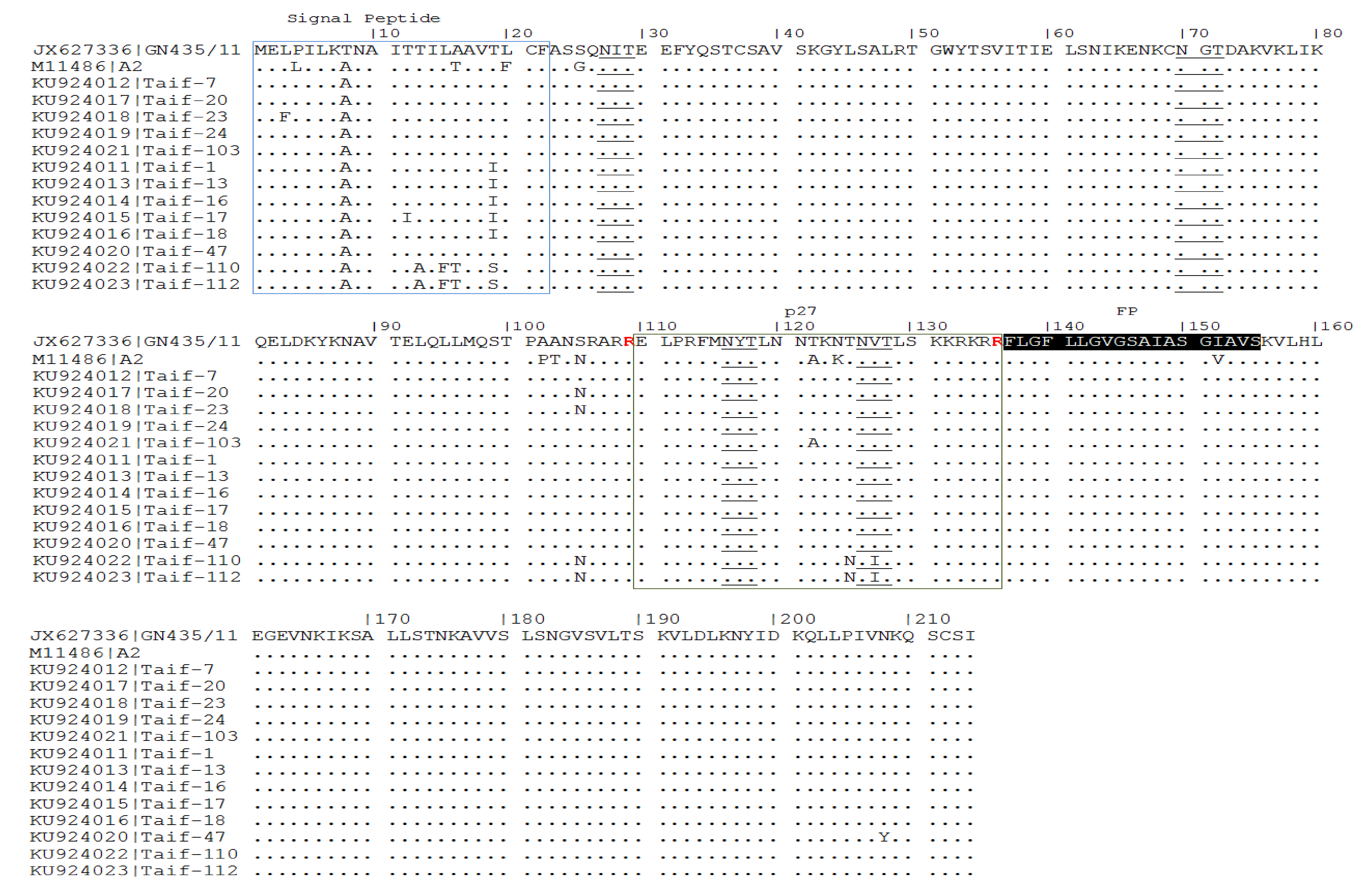 Medicina 55 00169 g002 550
