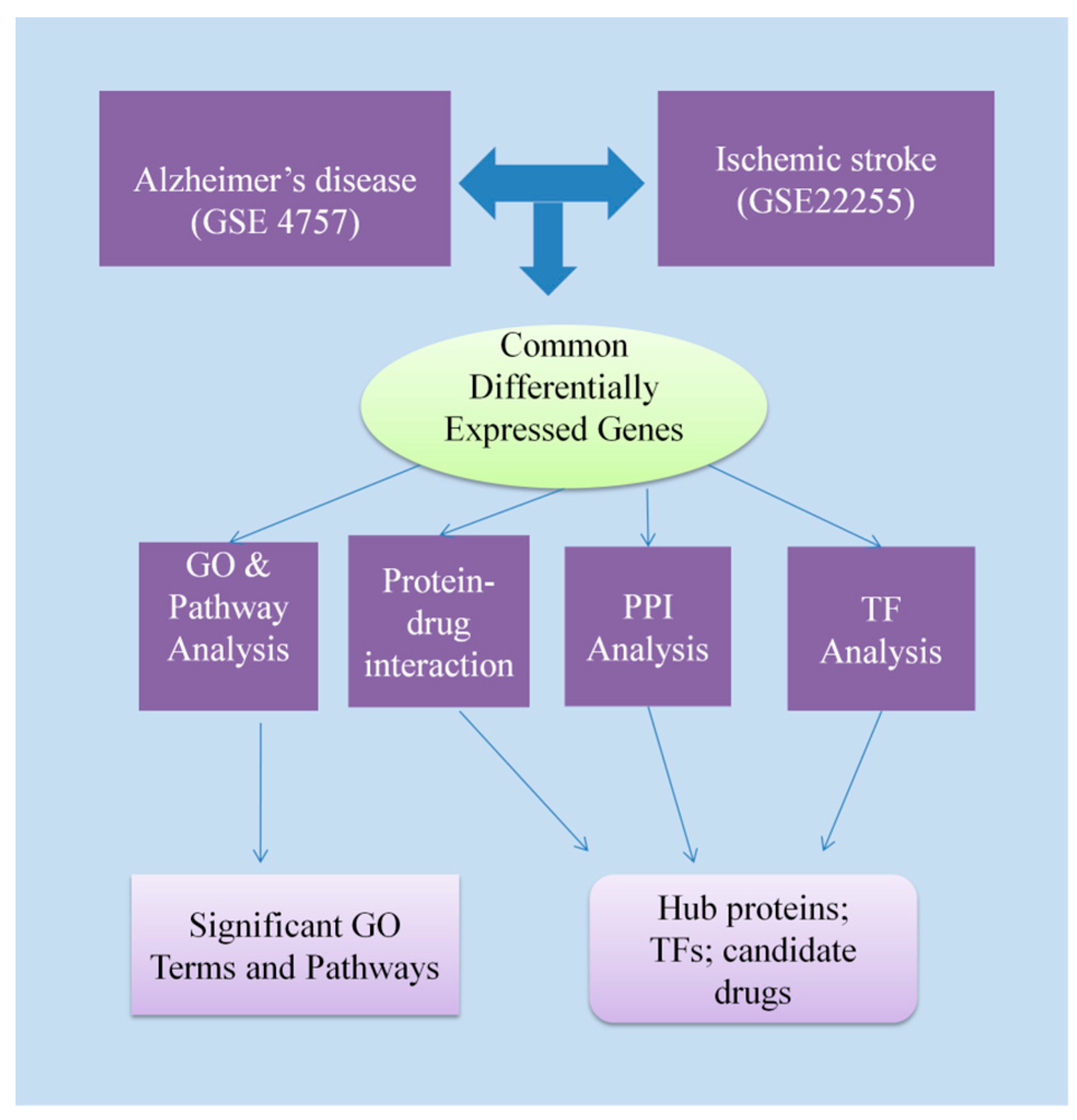 Medicina 55 00191 g001 Medicina 55 00191 g001