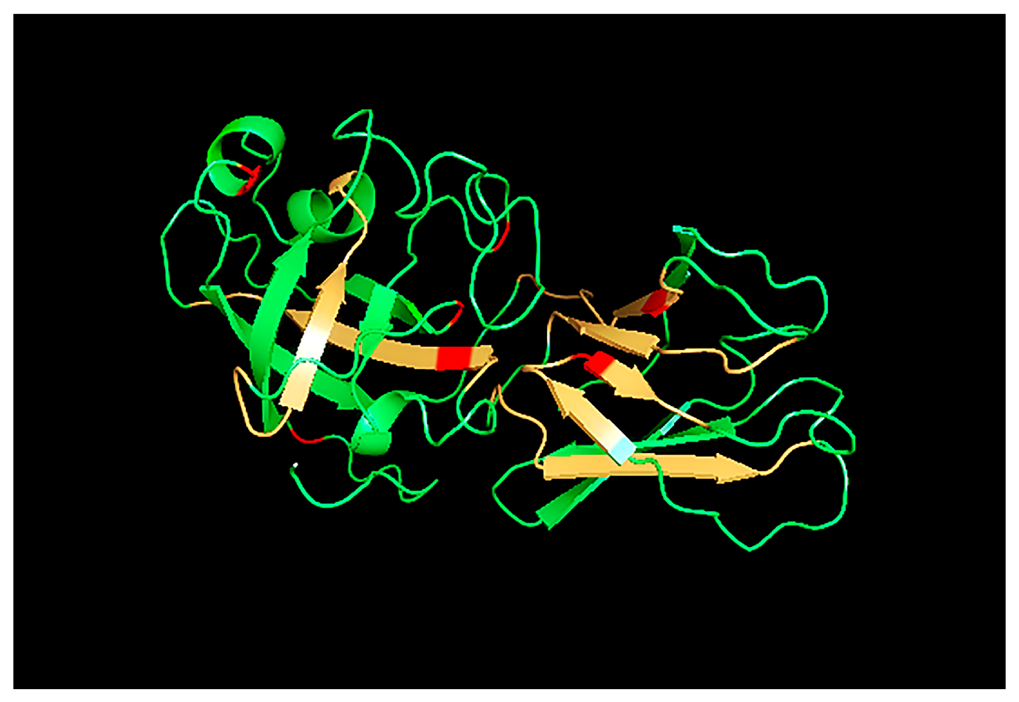 Medicina 55 00193 g002