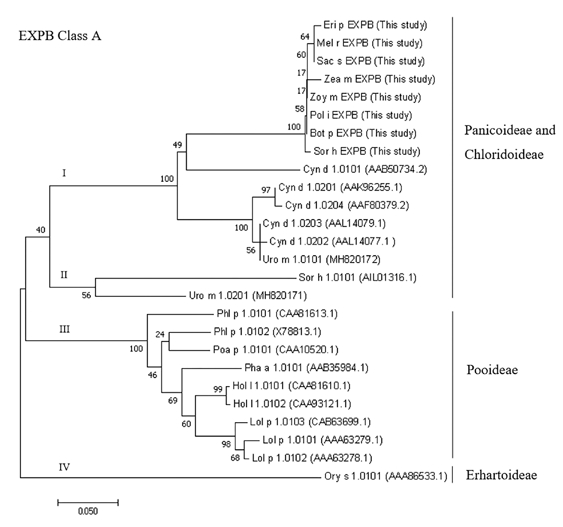 Medicina 55 00193 g003