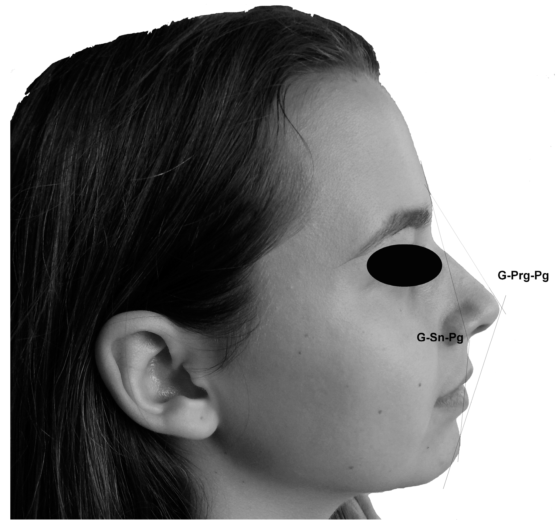 Medicina 55 00197 g002