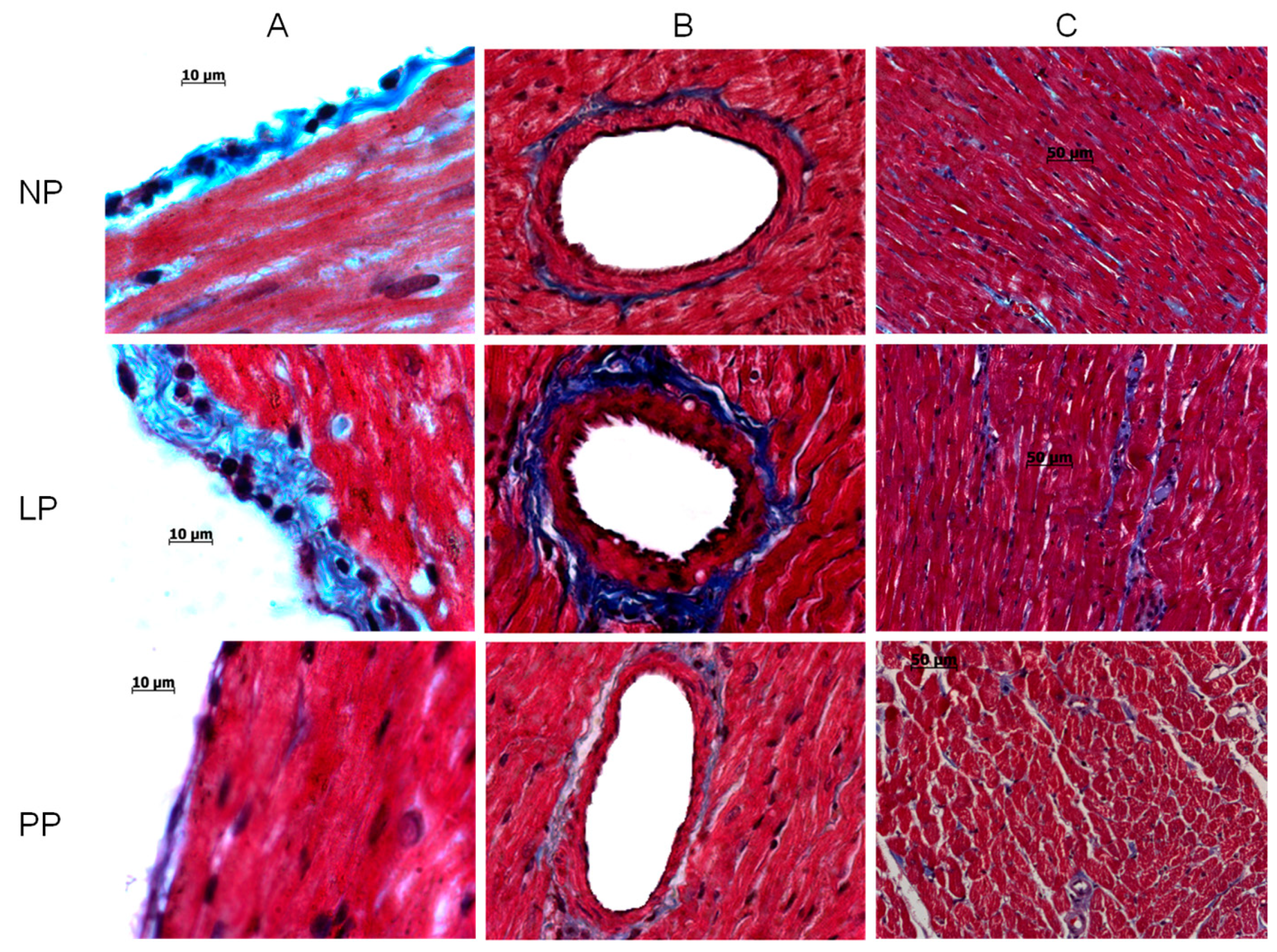 Medicina 55 00199 g001