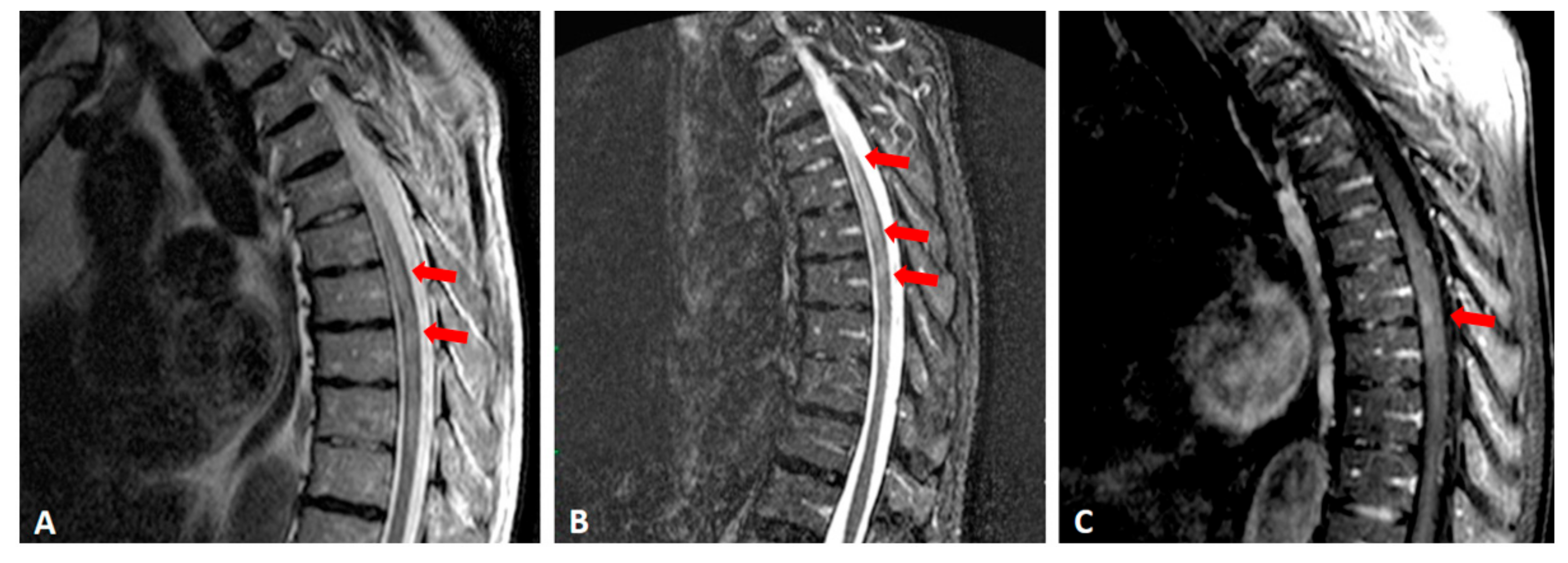 Medicina 55 00201 g001