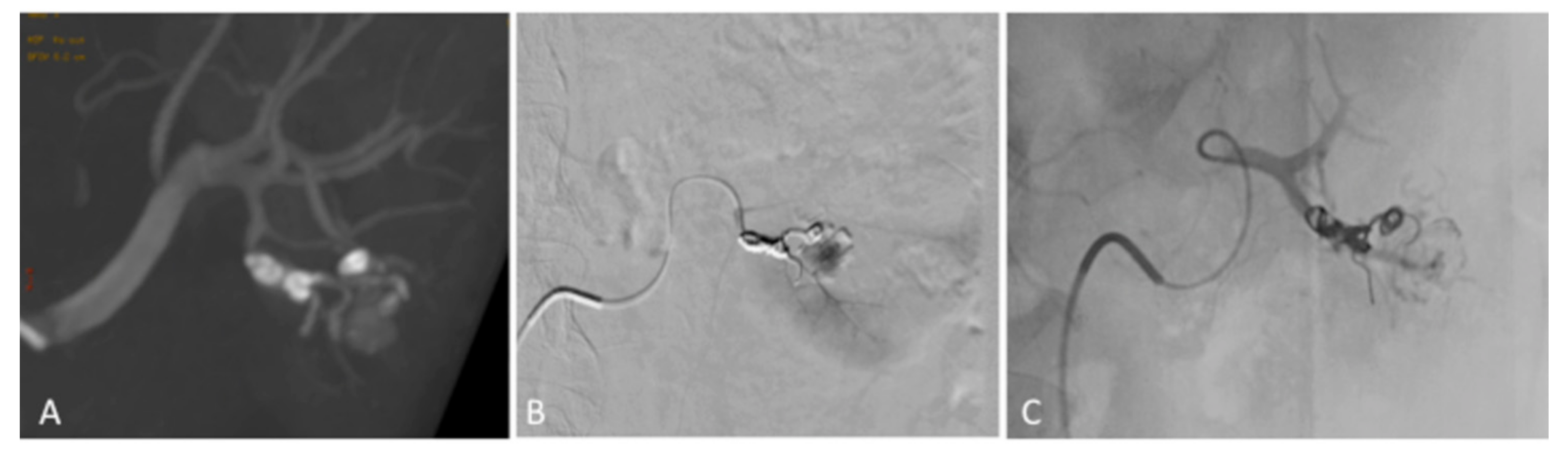 Medicina 55 00234 g007