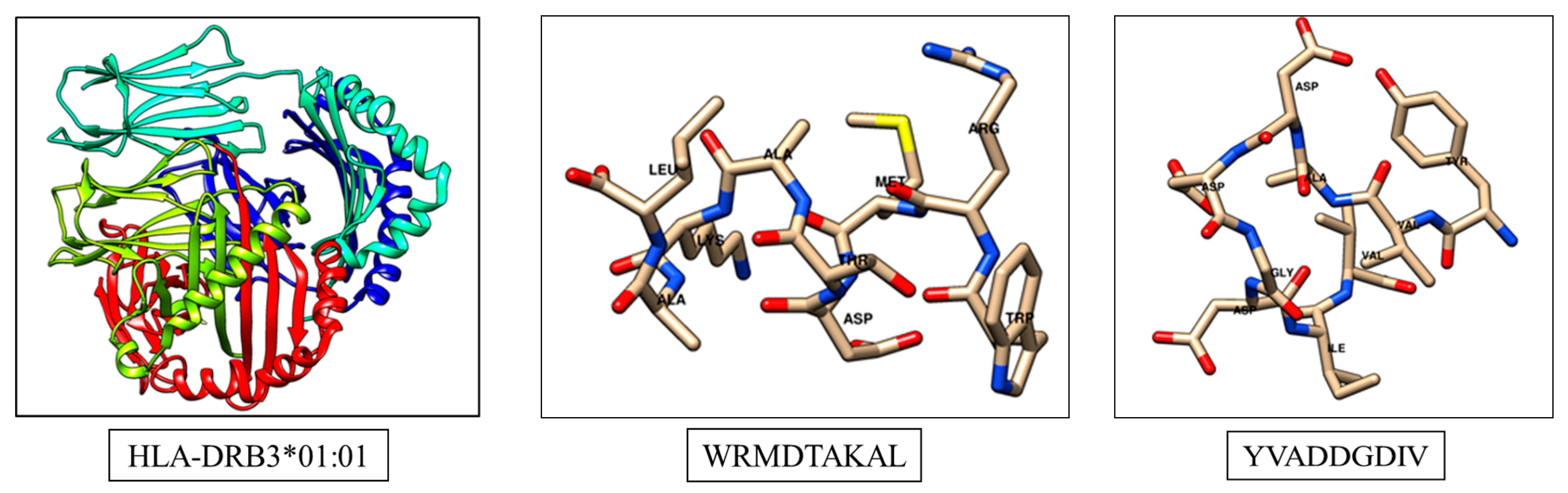 Medicina 55 00236 g002