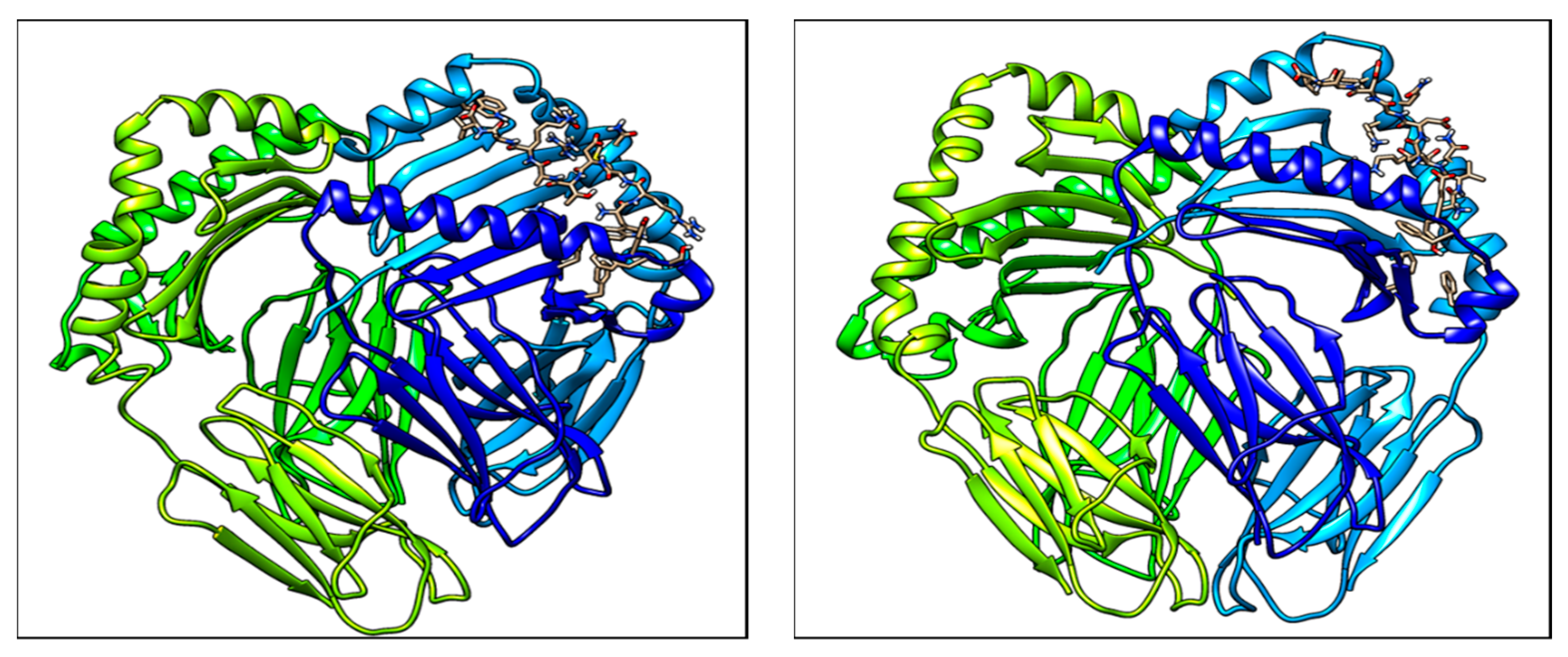 Medicina 55 00236 g003