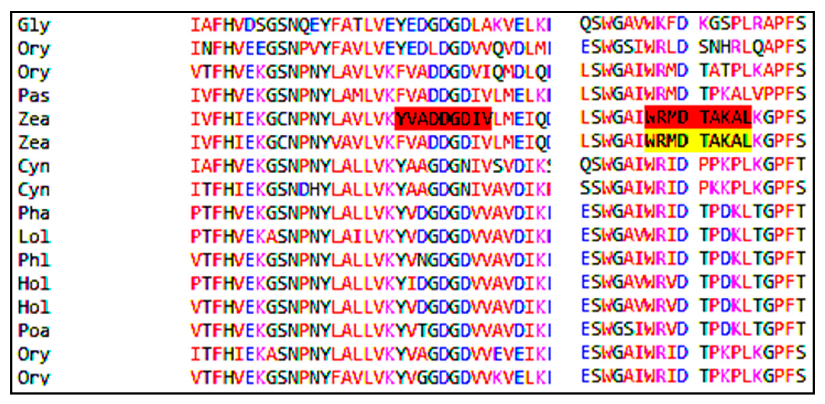 Medicina 55 00236 g004