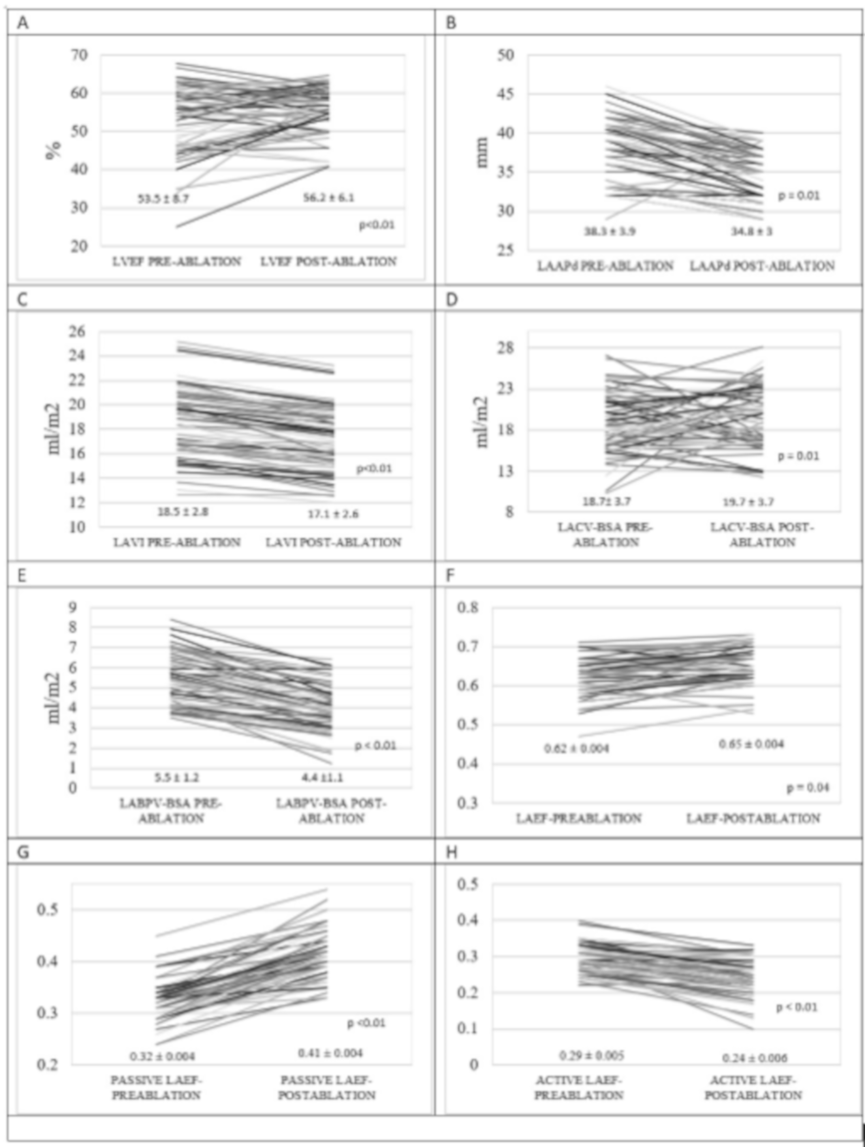 Medicina 55 00241 g001 550