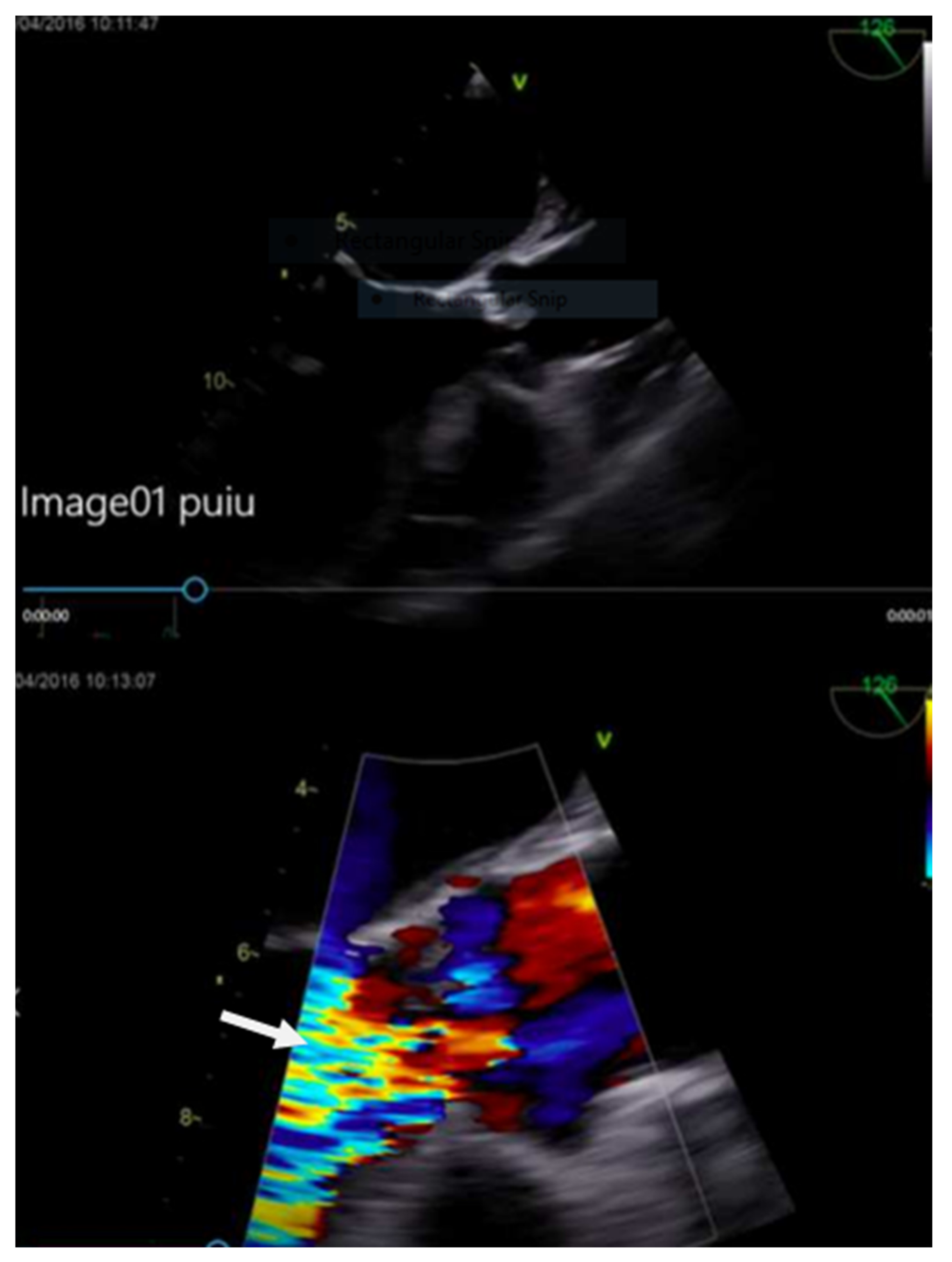 Medicina 55 00242 g007