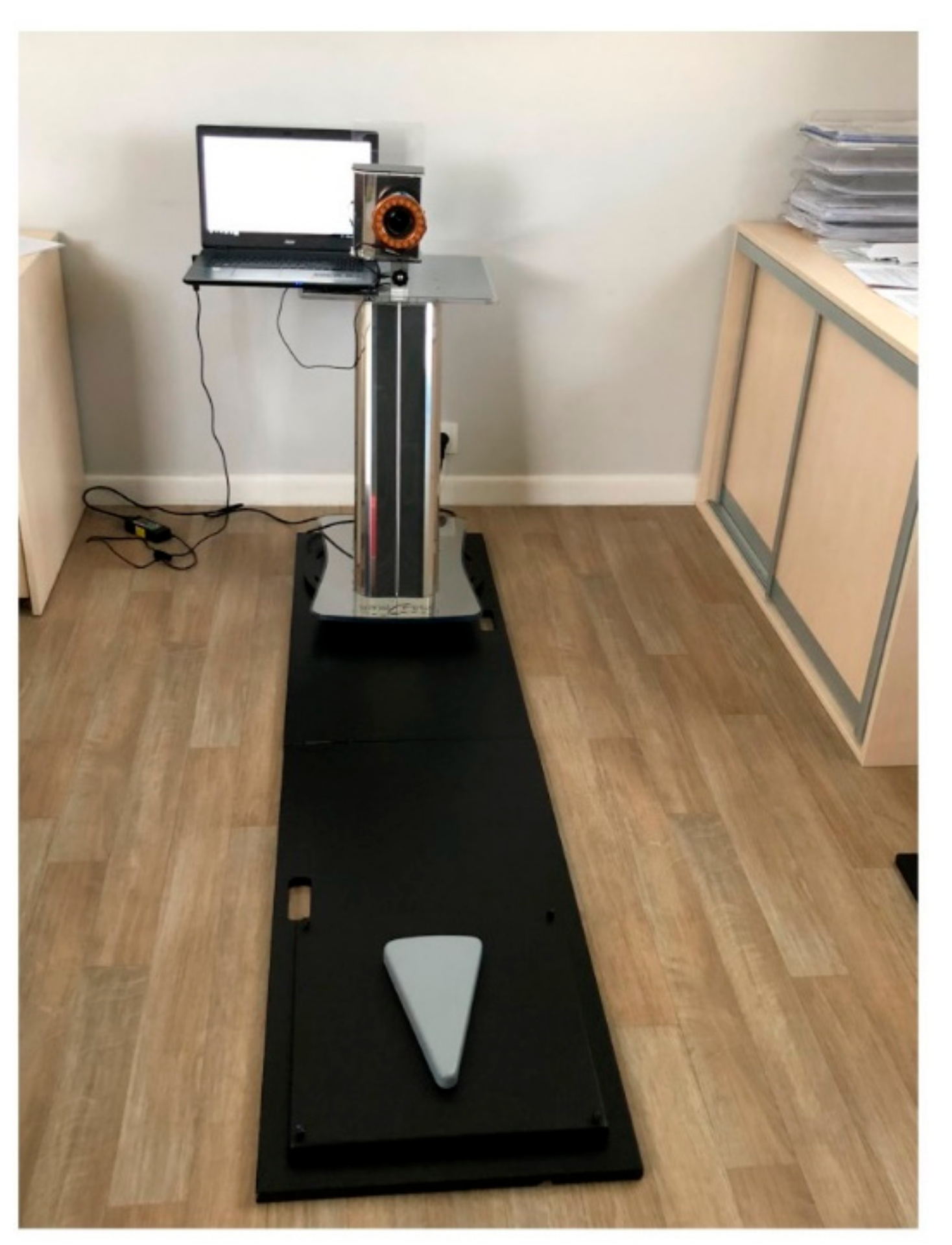 Medicina 55 00254 g003