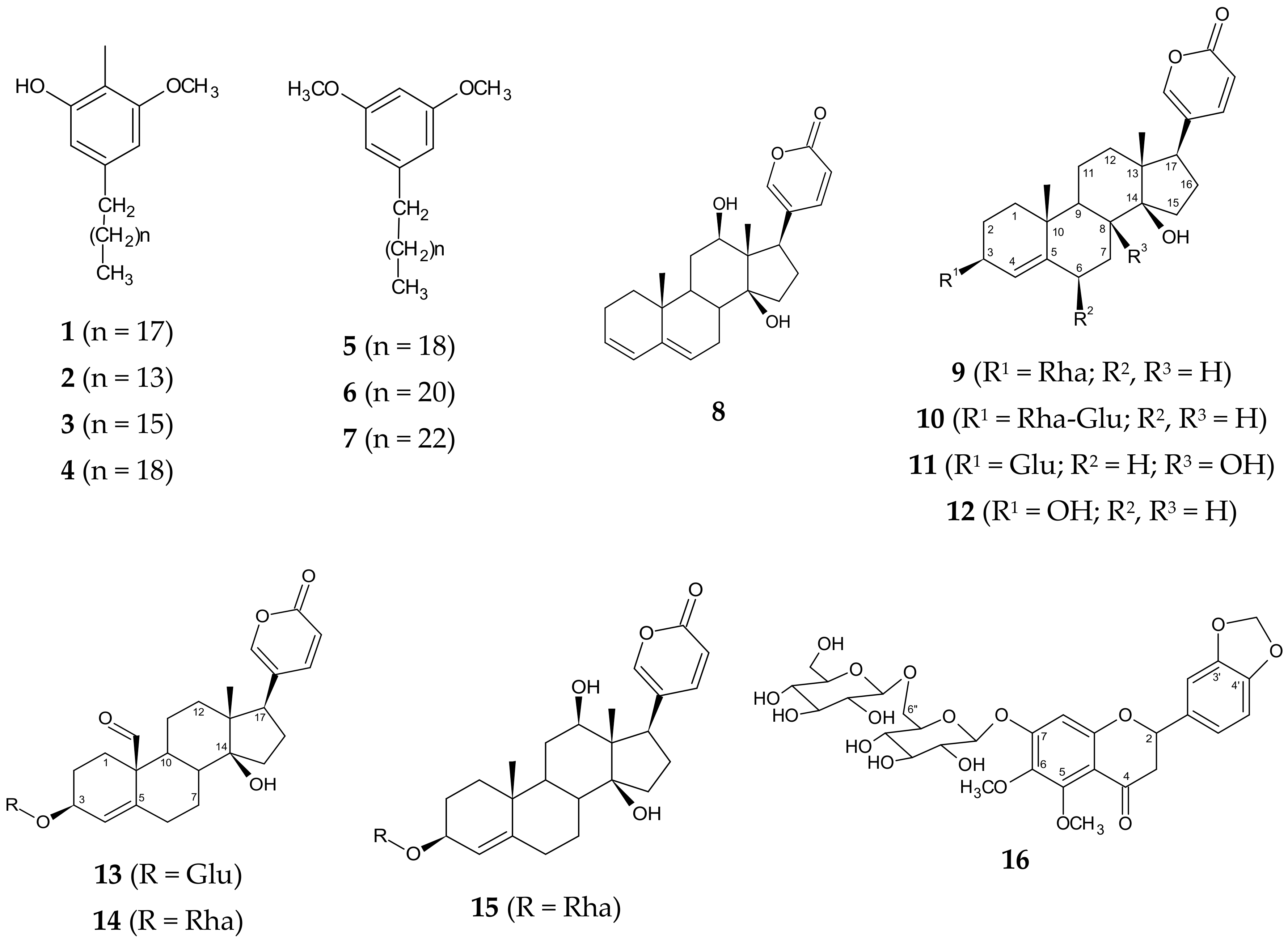 Medicina 55 00255 g002a