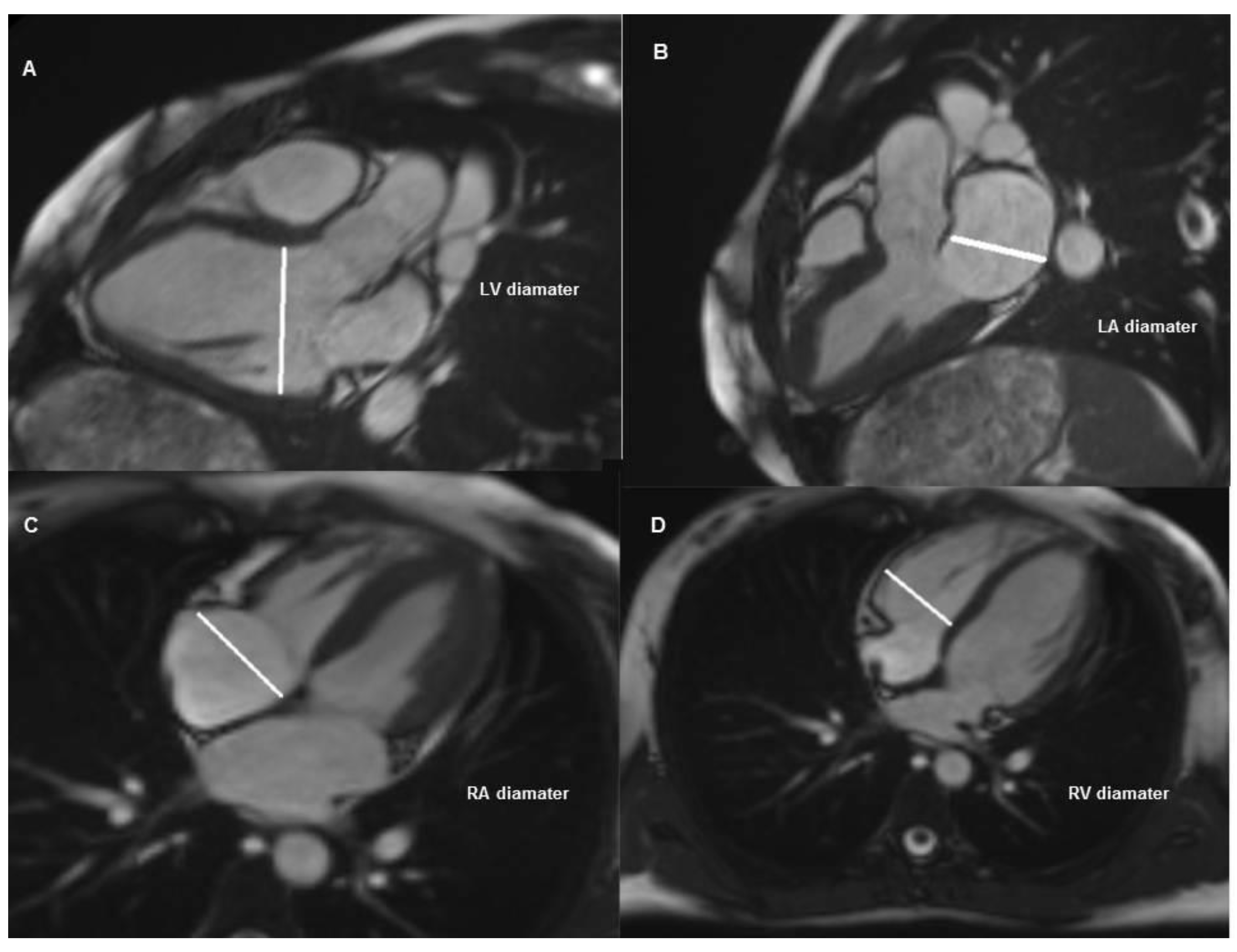 Medicina 55 00260 g002 550