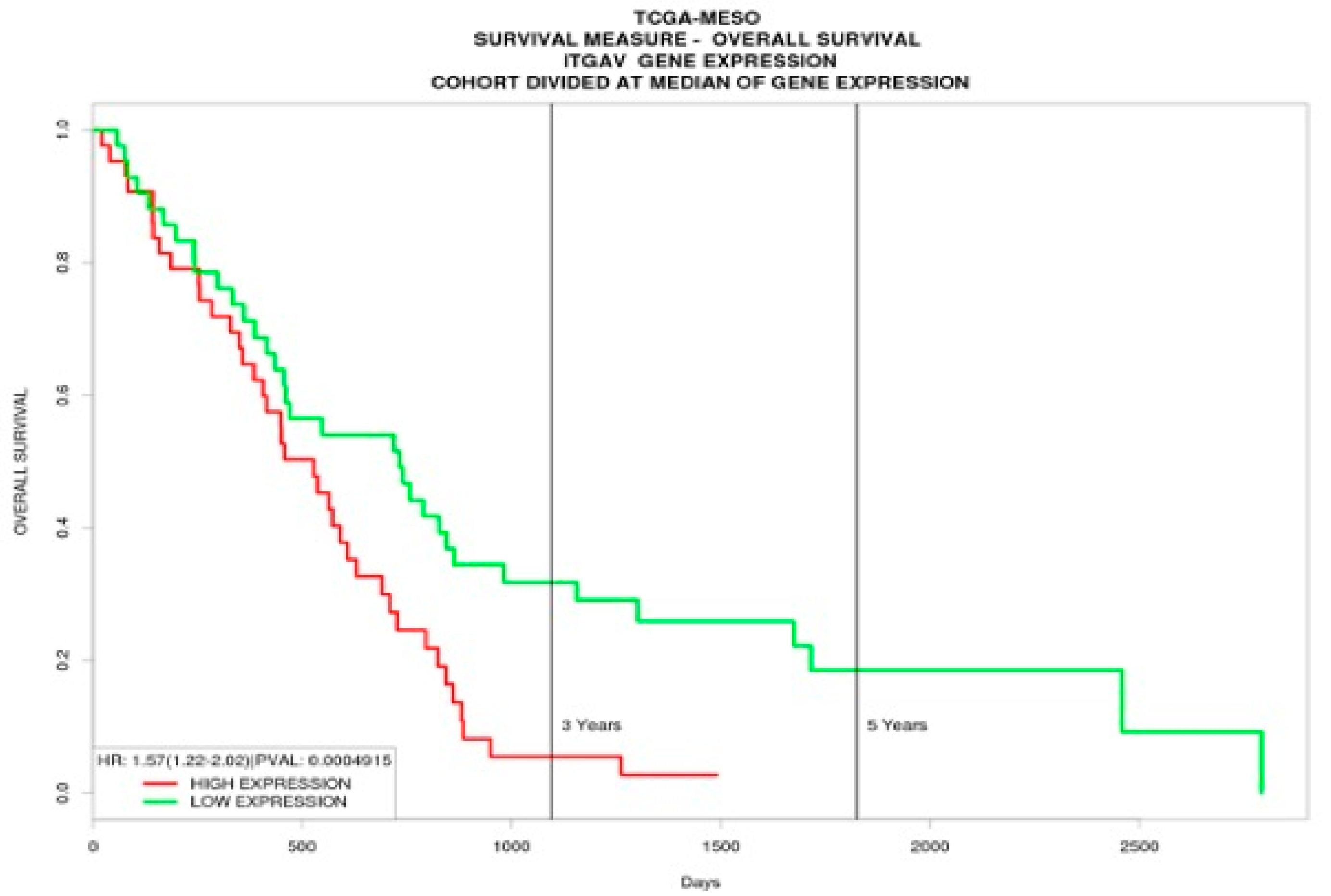 Medicina 55 00267 g002 Medicina 55 00267 g002