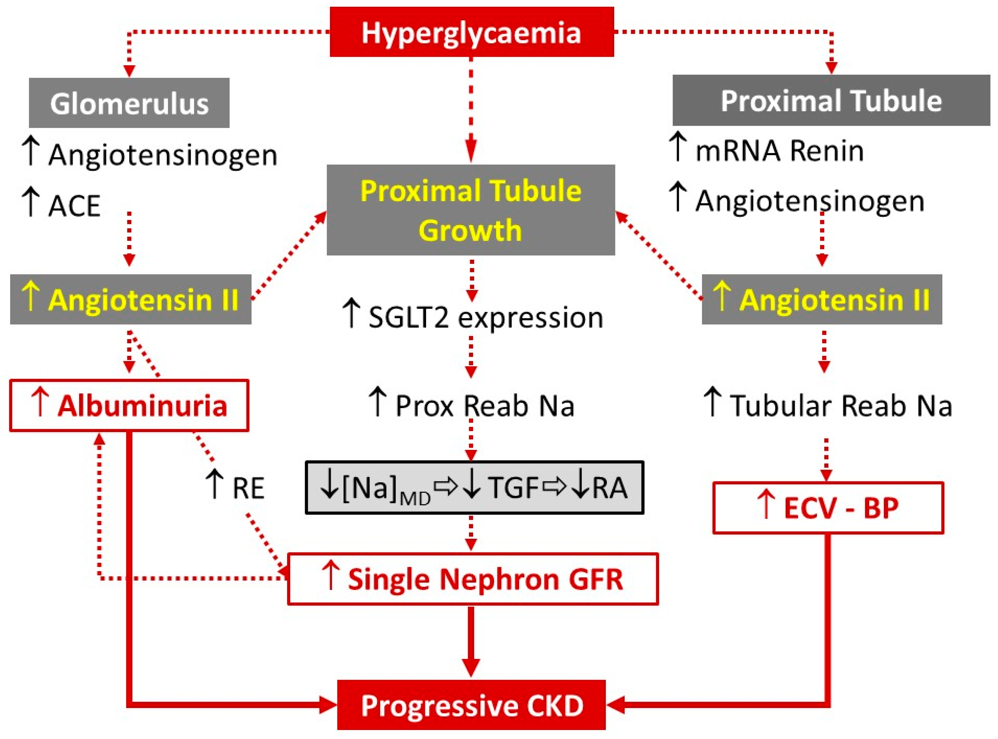 Medicina 55 00268 g001
