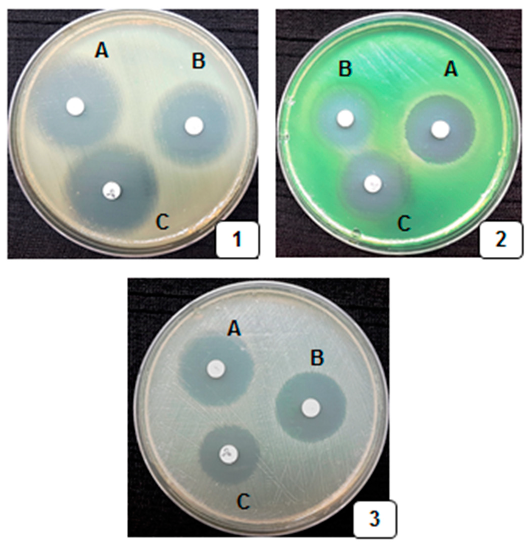 Medicina 55 00289 g003