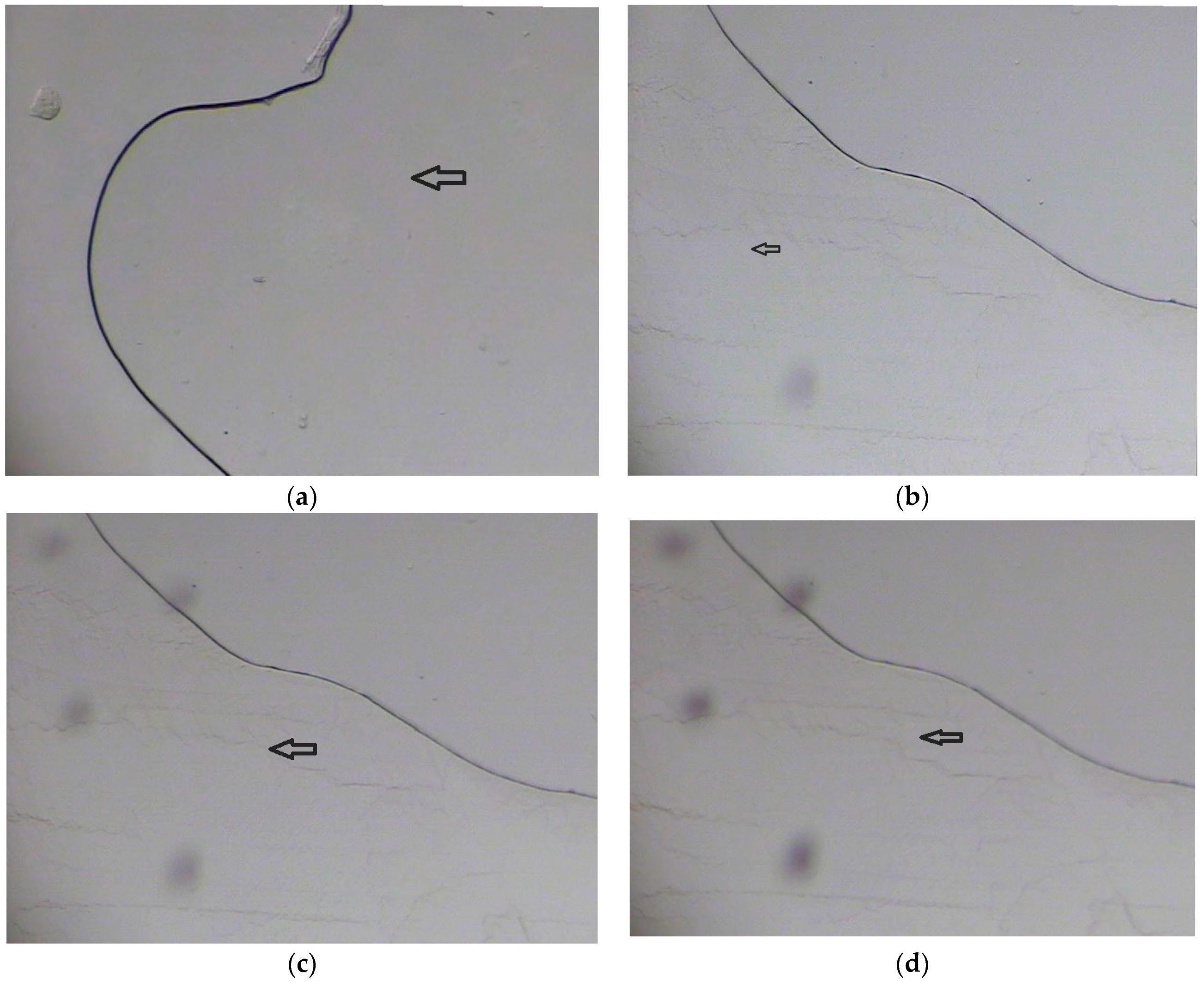 Medicina 55 00294 g004a