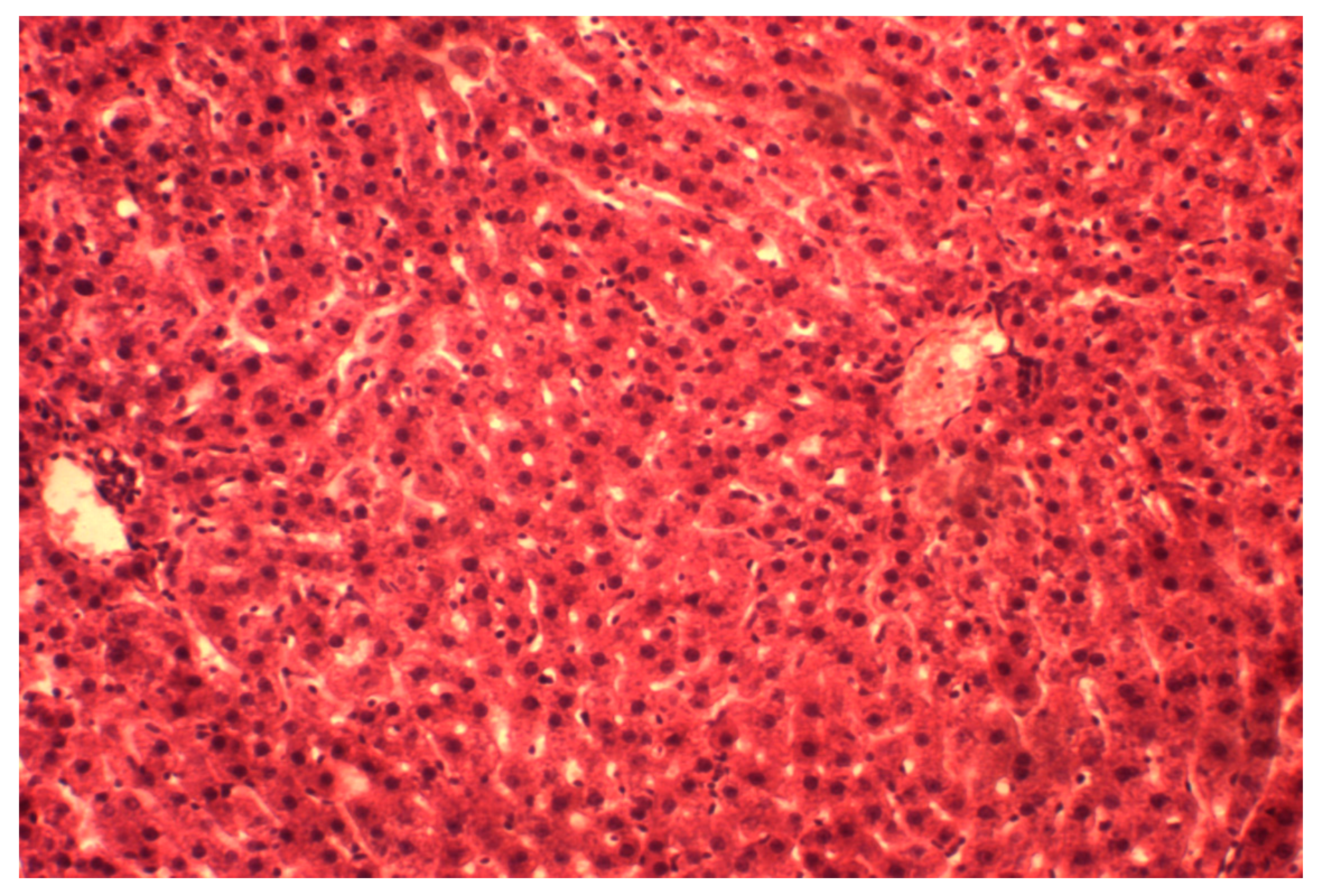 Medicina 55 00304 g003 Medicina 55 00304 g003