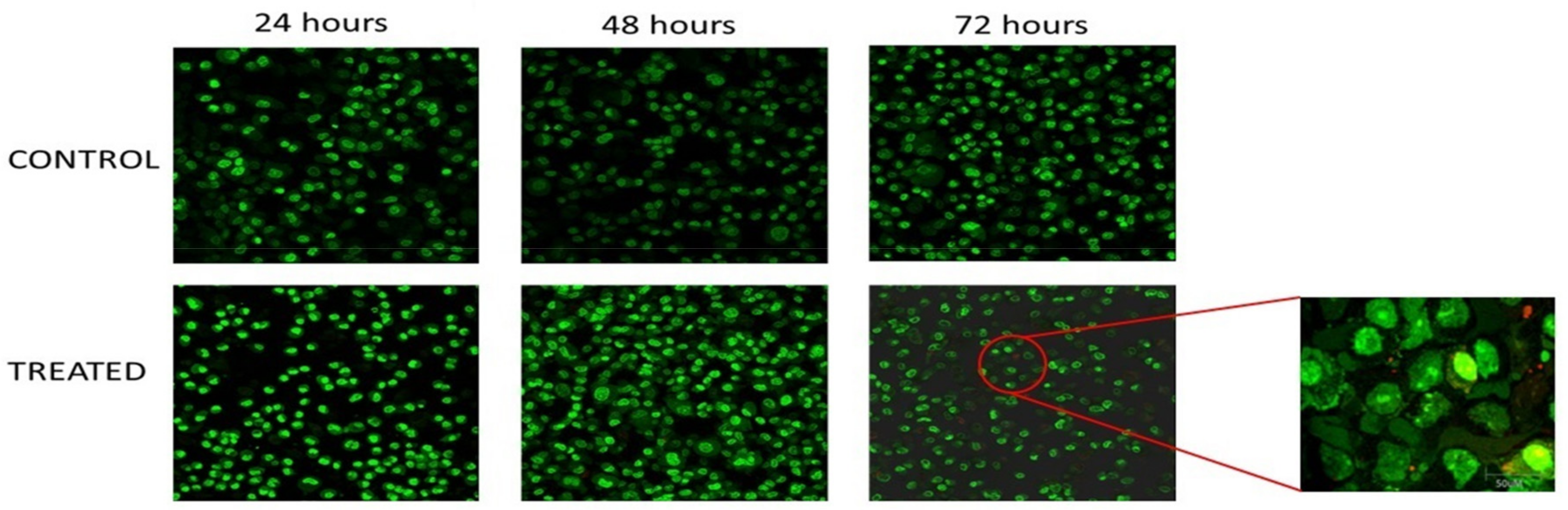 Medicina 55 00322 g002 Medicina 55 00322 g002