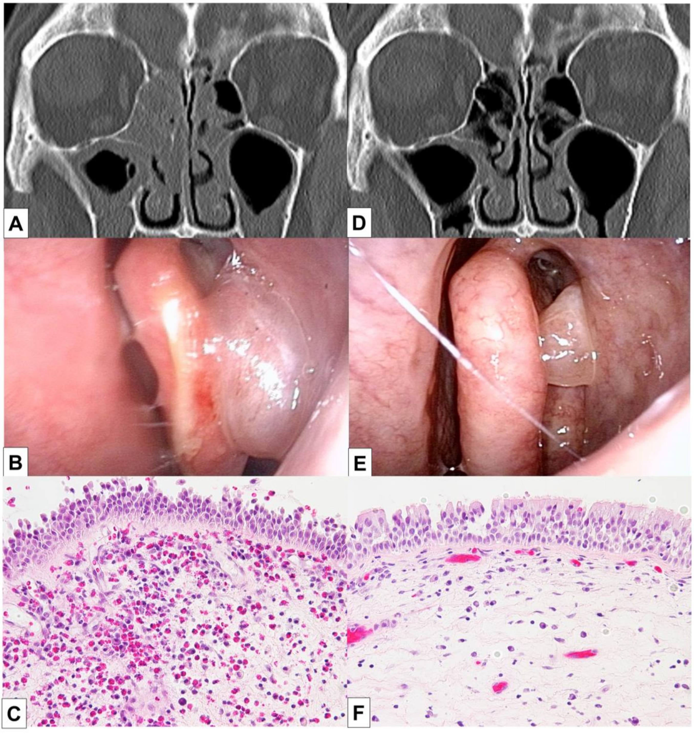 Medicina 55 00336 g002