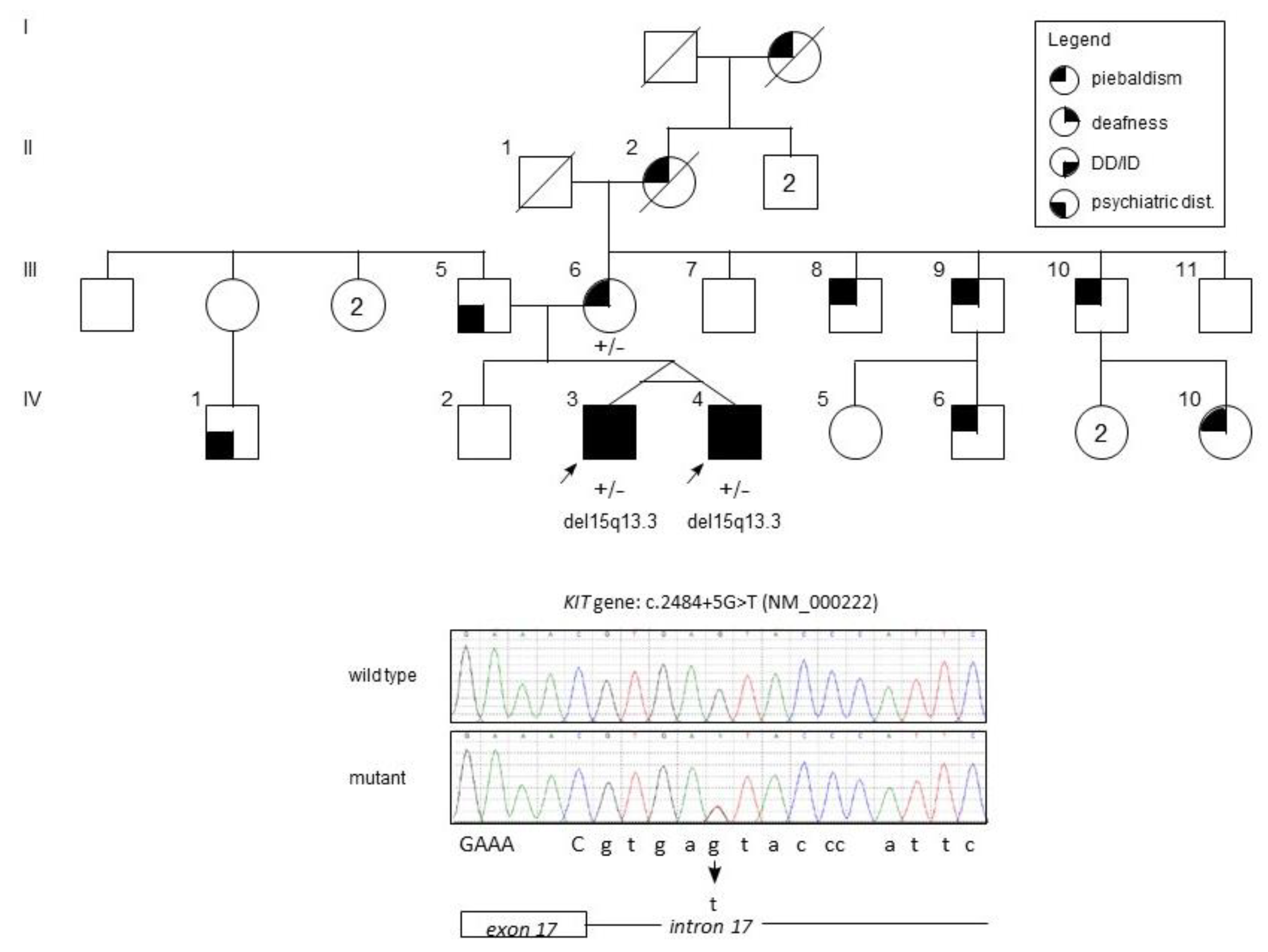 Medicina 55 00345 g001