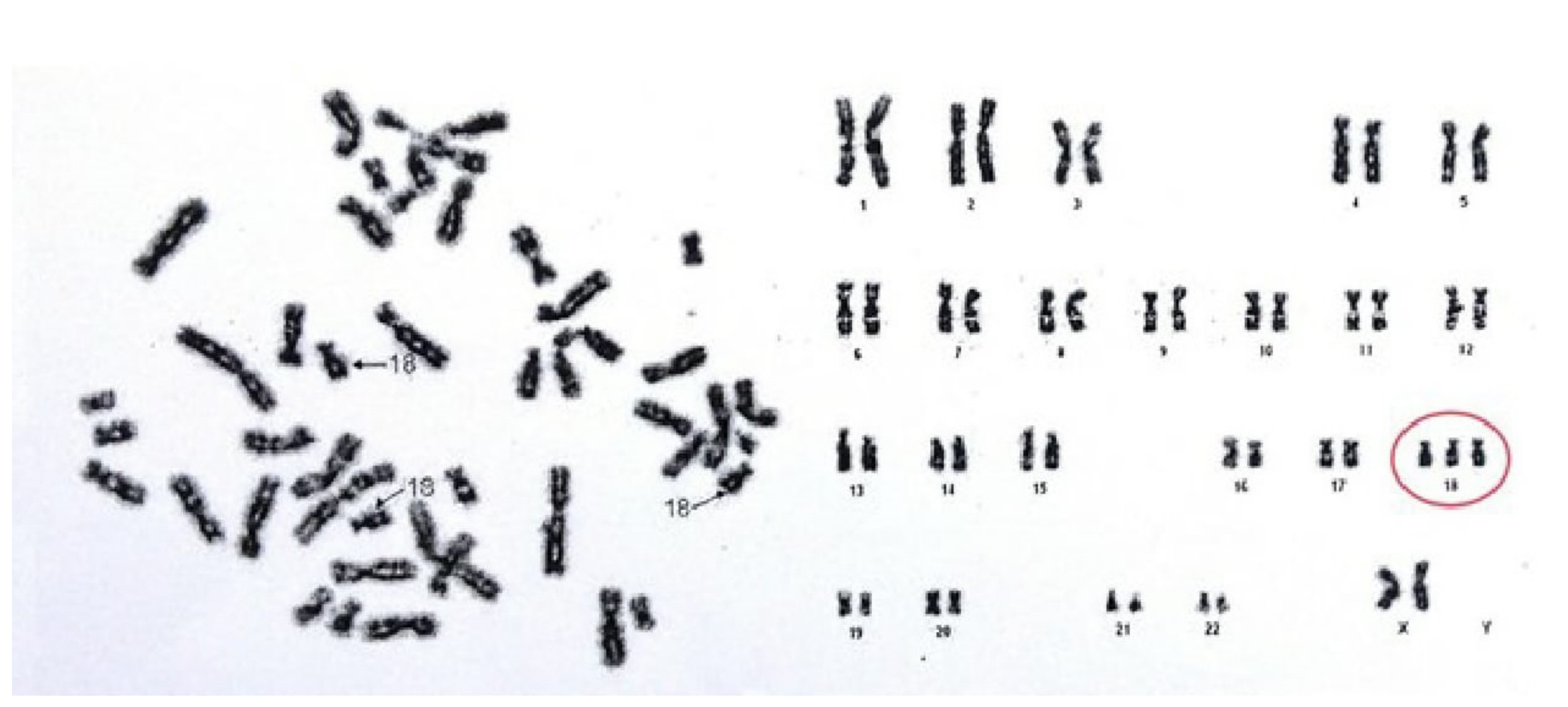Medicina 55 00352 g003