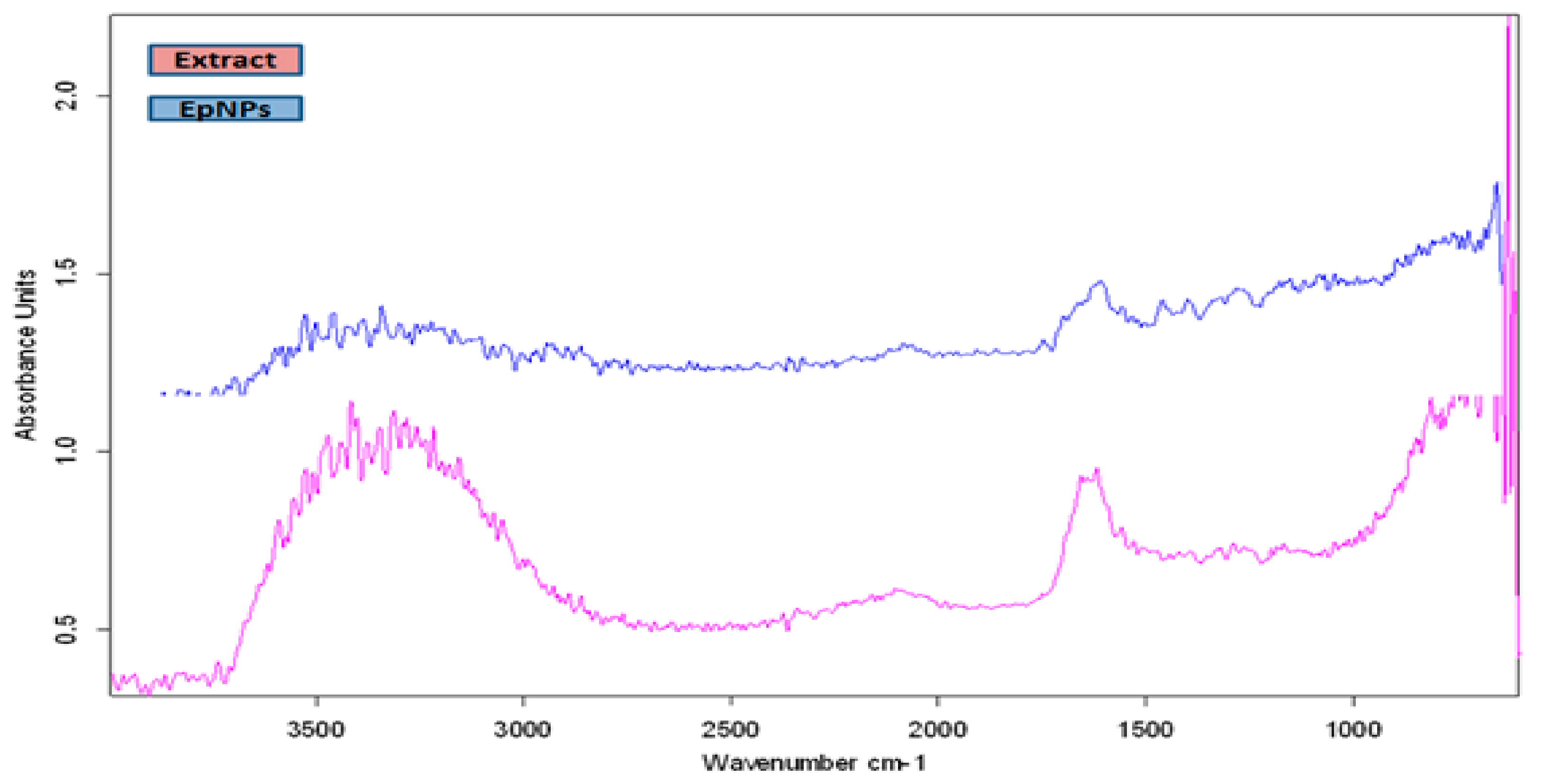 Medicina 55 00369 g002