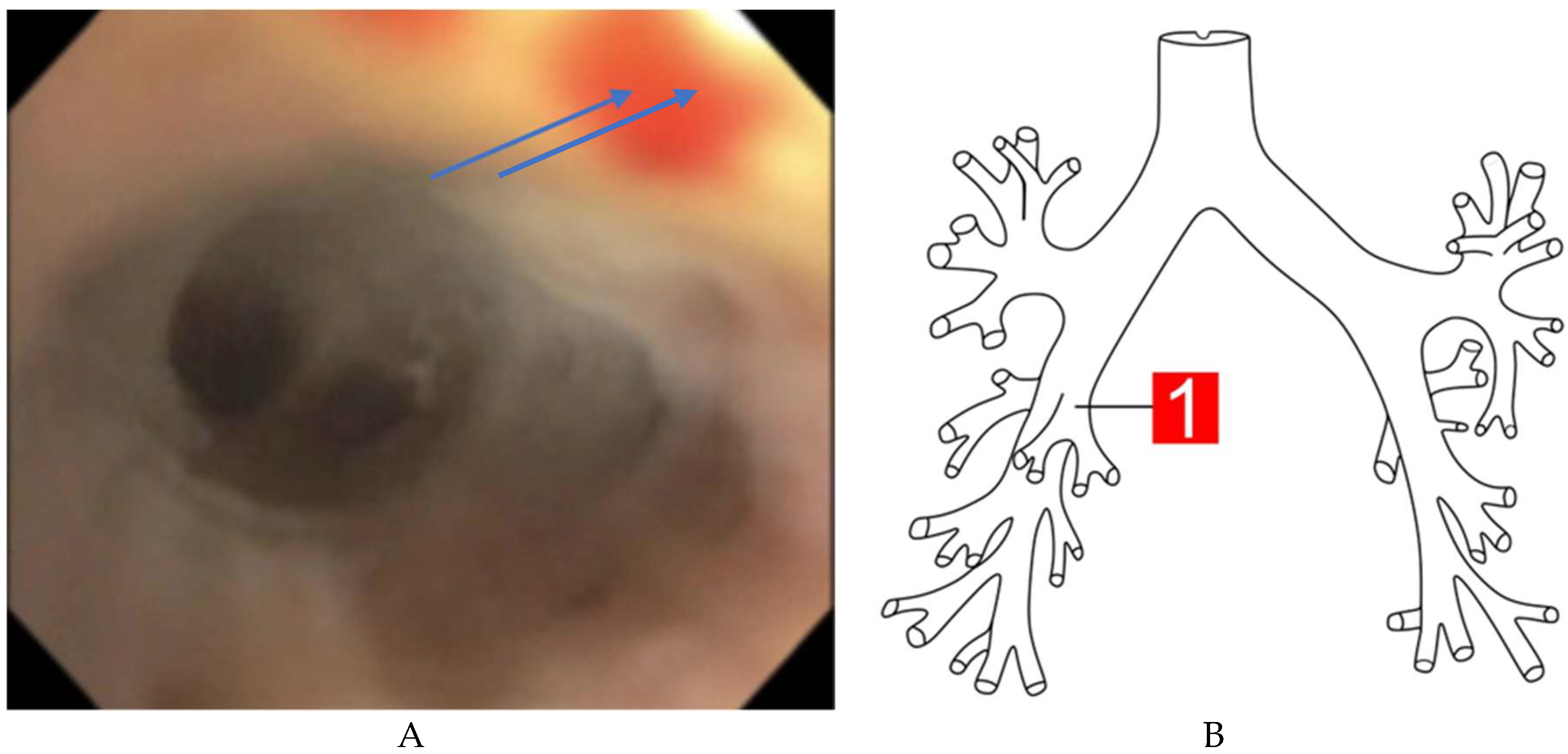 Medicina 55 00378 g003