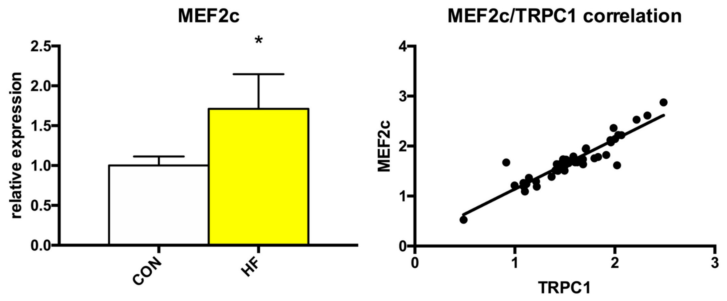 Medicina 55 00380 g004